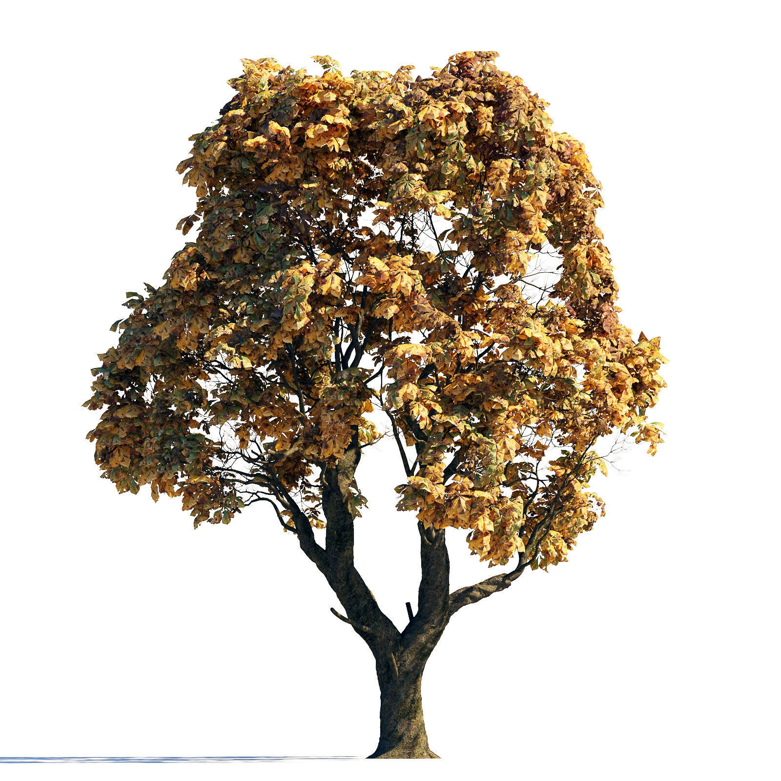 Archmodels vol 258 - collection of seasonal trees 3D model_13