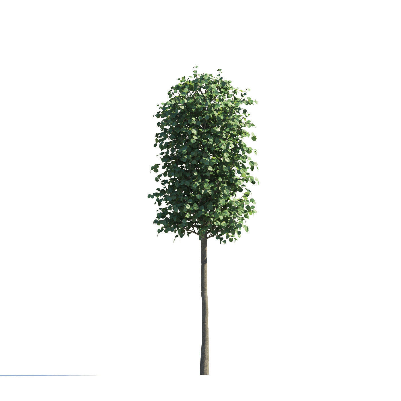 Archmodels vol 258 - collection of seasonal trees 3D model_103