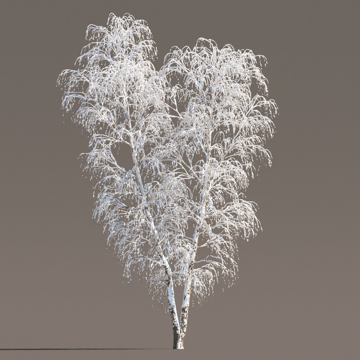 Archmodels vol 258 - collection of seasonal trees 3D model_44