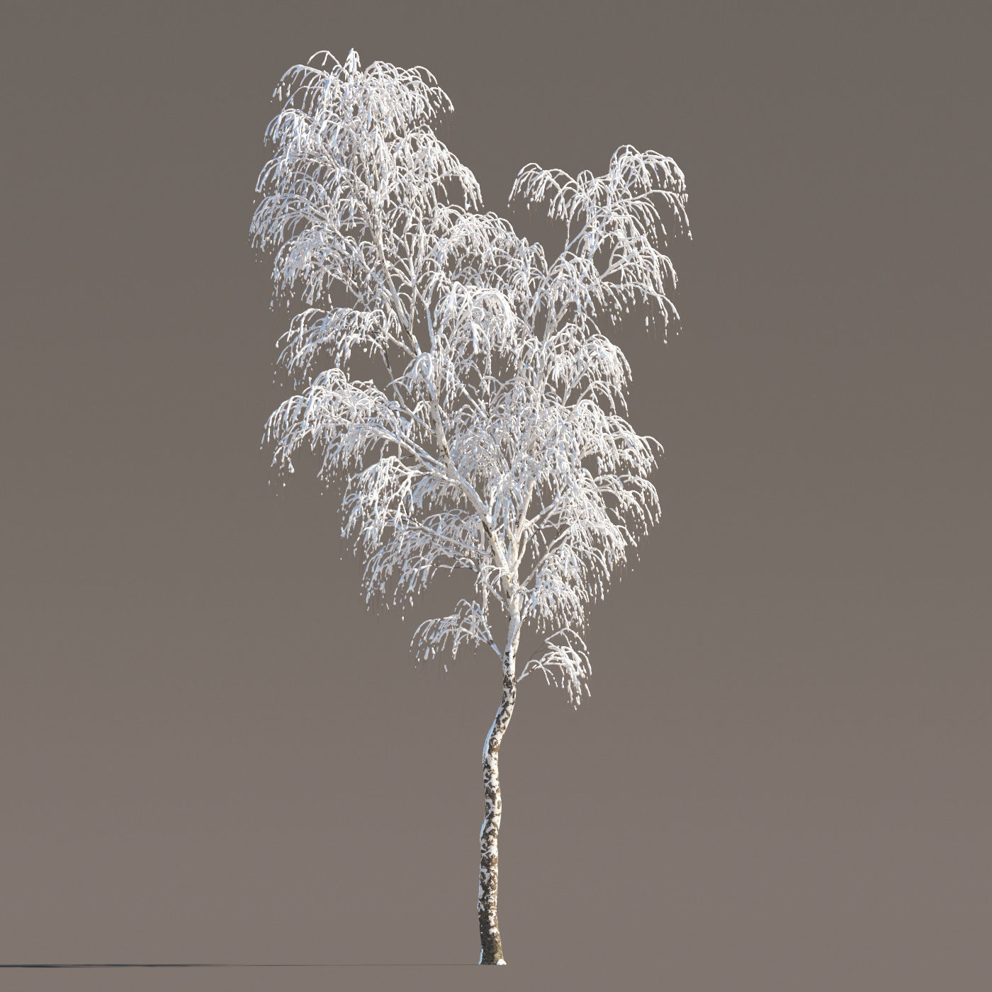 Archmodels vol 258 - collection of seasonal trees 3D model_45