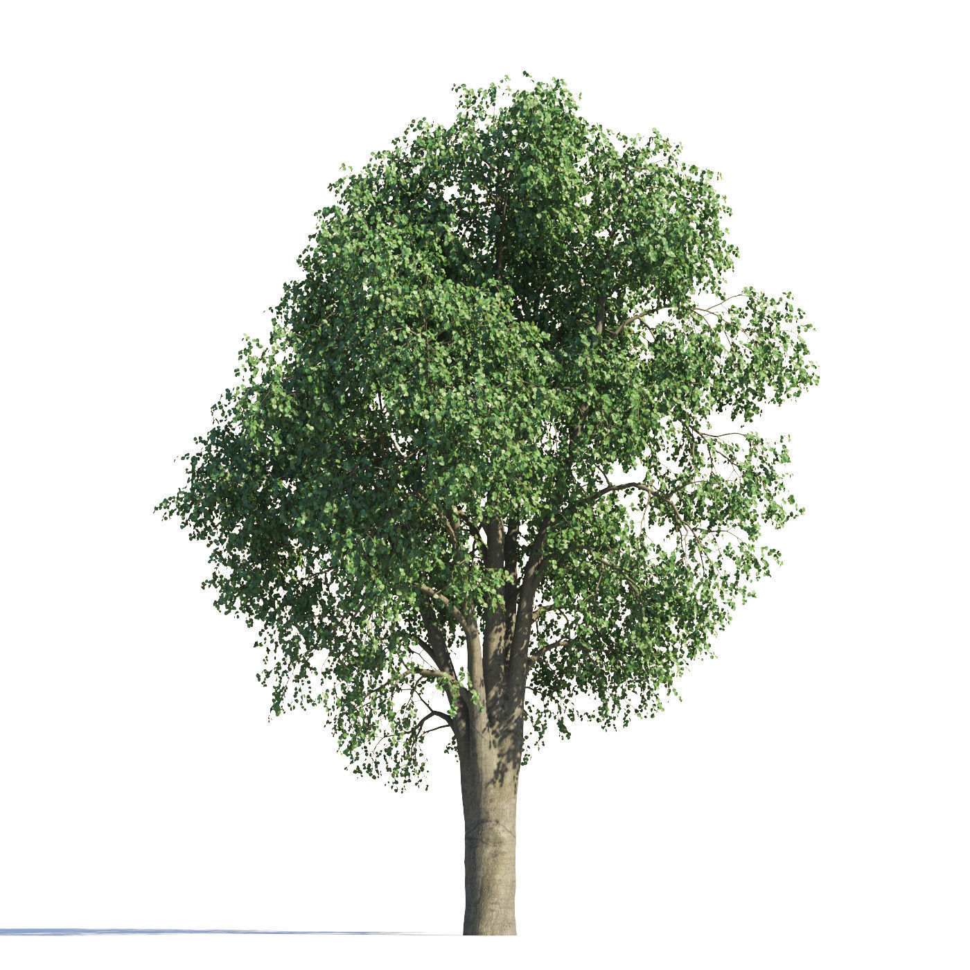 Archmodels vol 258 - collection of seasonal trees 3D model_109