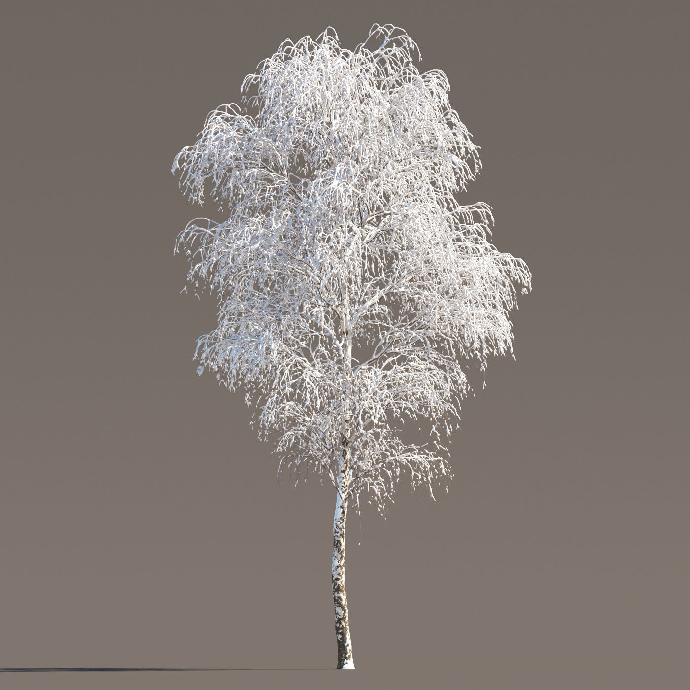 Archmodels vol 258 - collection of seasonal trees 3D model_51