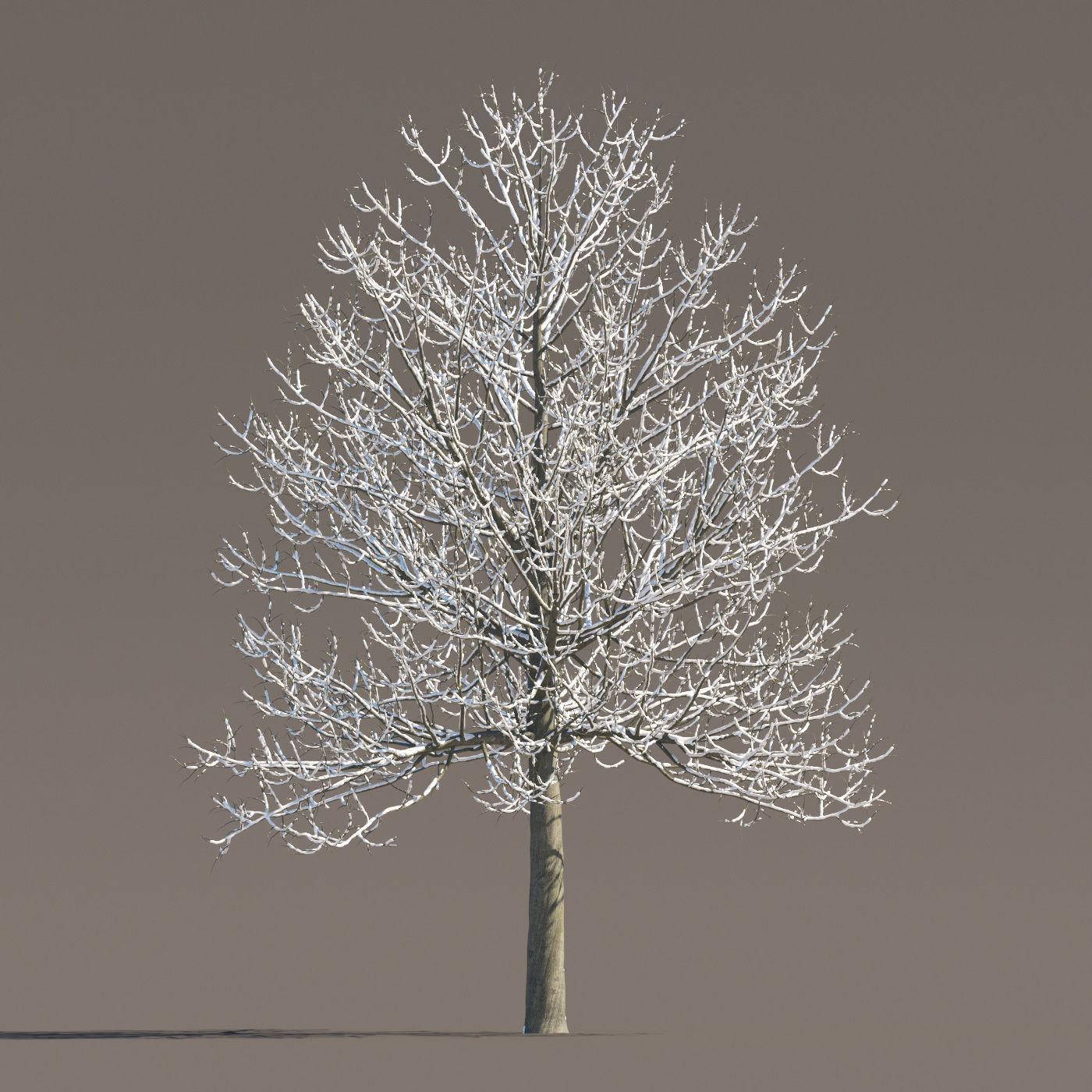 Archmodels vol 258 - collection of seasonal trees 3D model_66