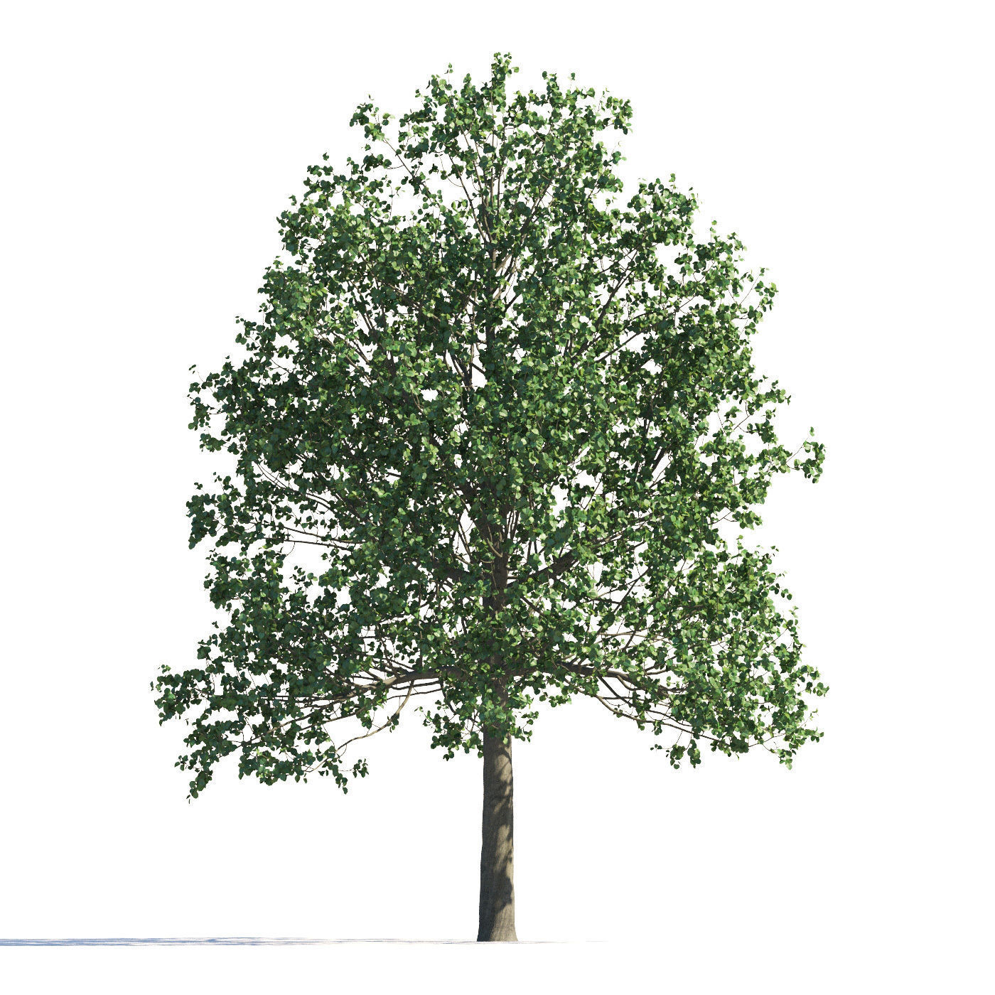 Archmodels vol 258 - collection of seasonal trees 3D model_106