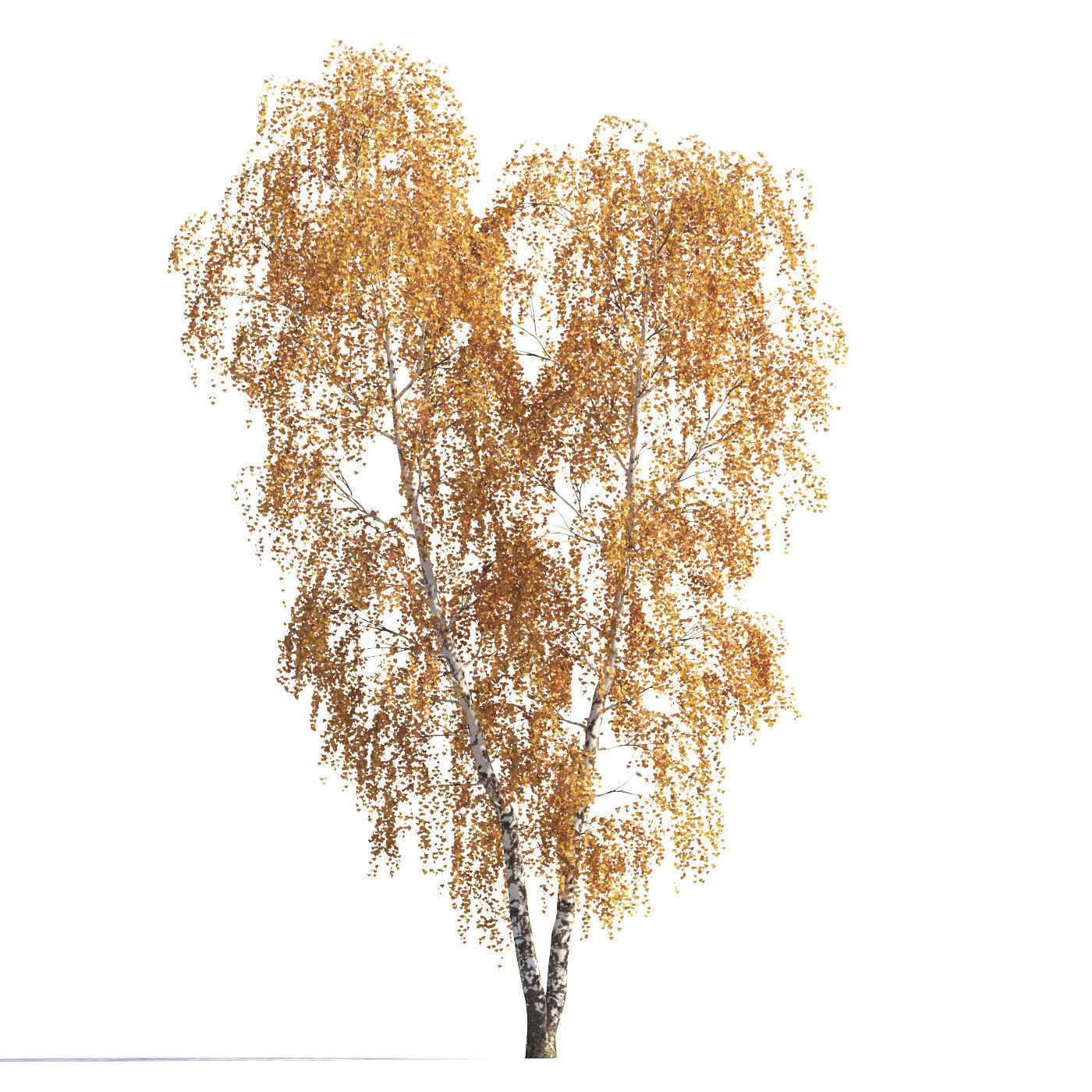 Archmodels vol 258 - collection of seasonal trees 3D model_4