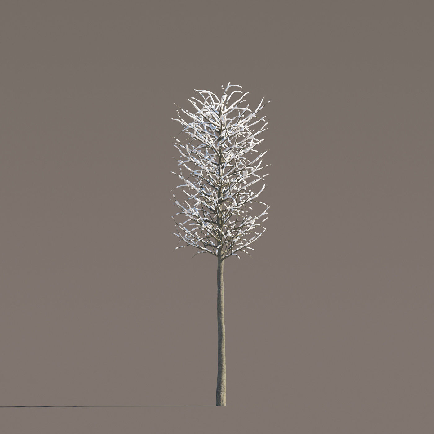 Archmodels vol 258 - collection of seasonal trees 3D model_63