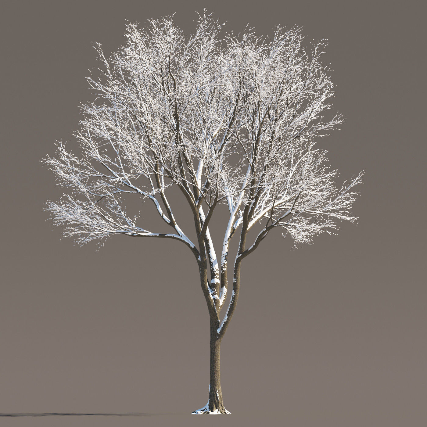Archmodels vol 258 - collection of seasonal trees 3D model_81