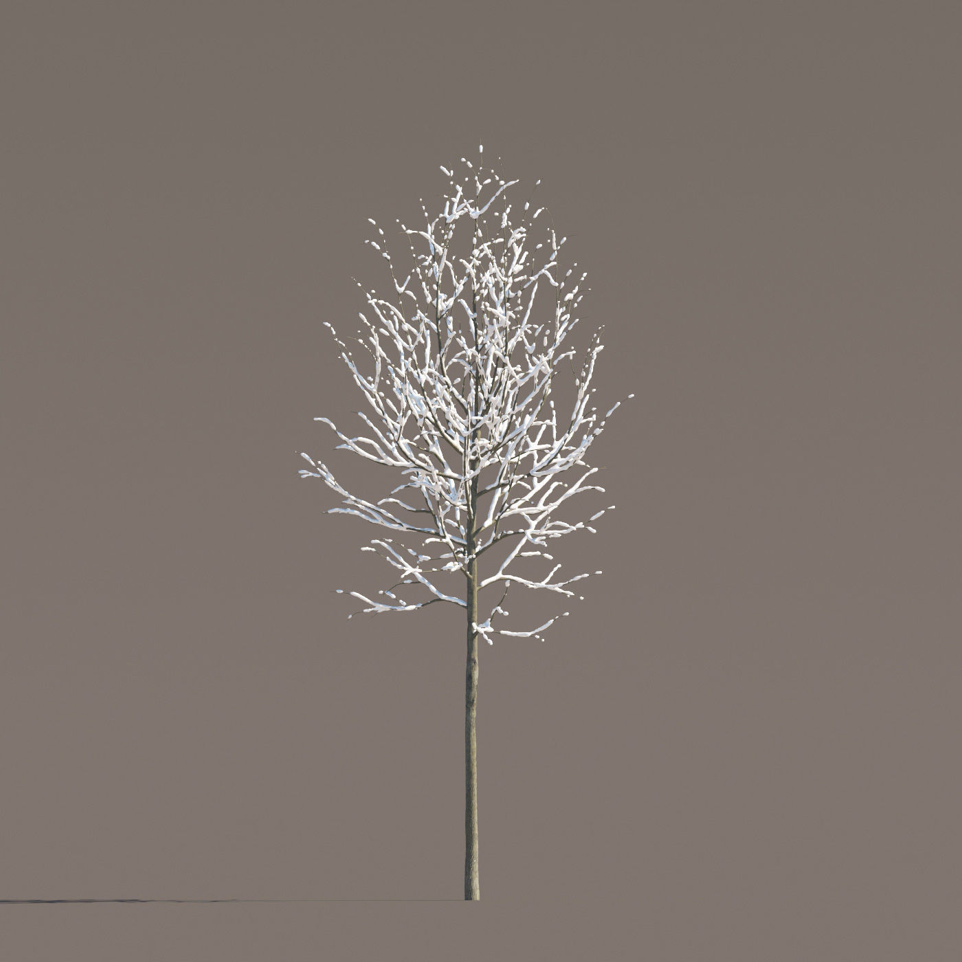 Archmodels vol 258 - collection of seasonal trees 3D model_64