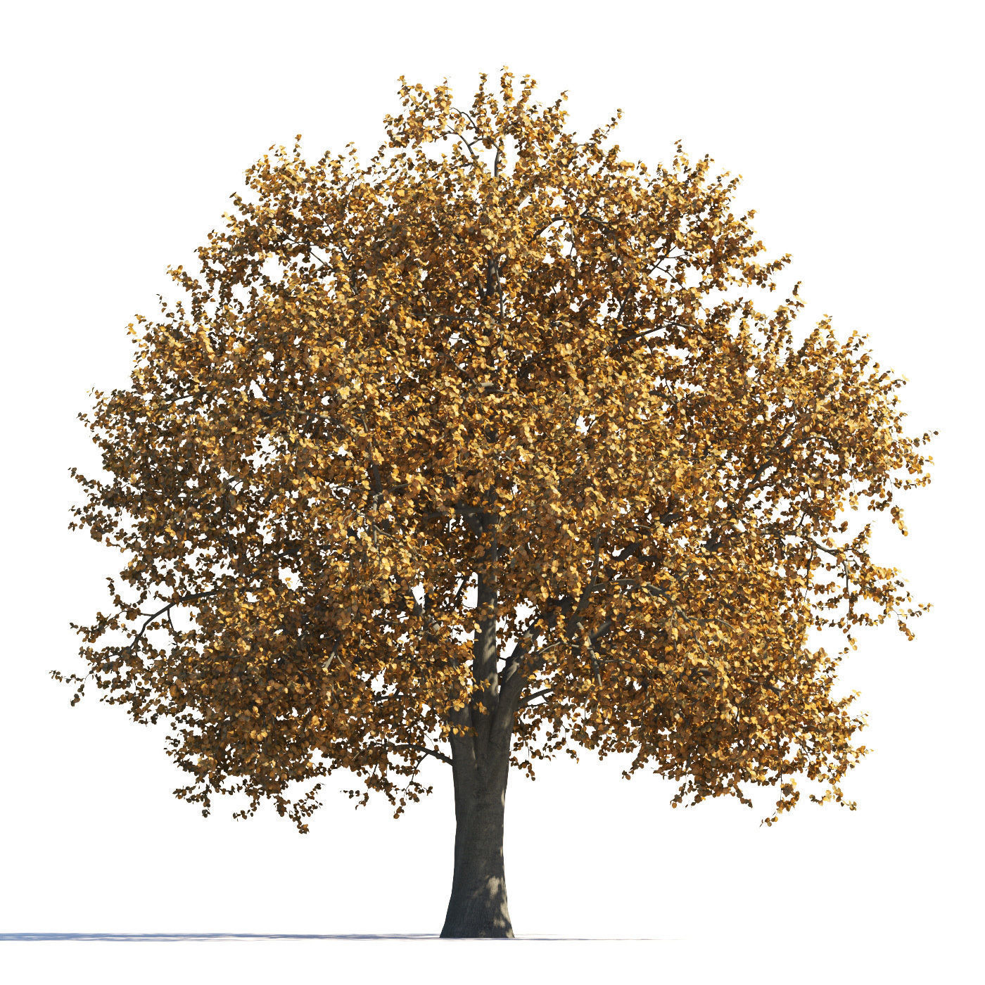 Archmodels vol 258 - collection of seasonal trees 3D model_31