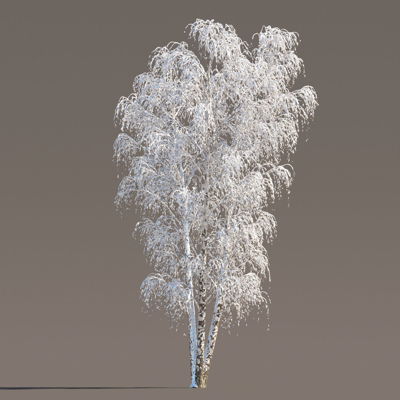 Archmodels vol 258 - collection of seasonal trees 3D model_42