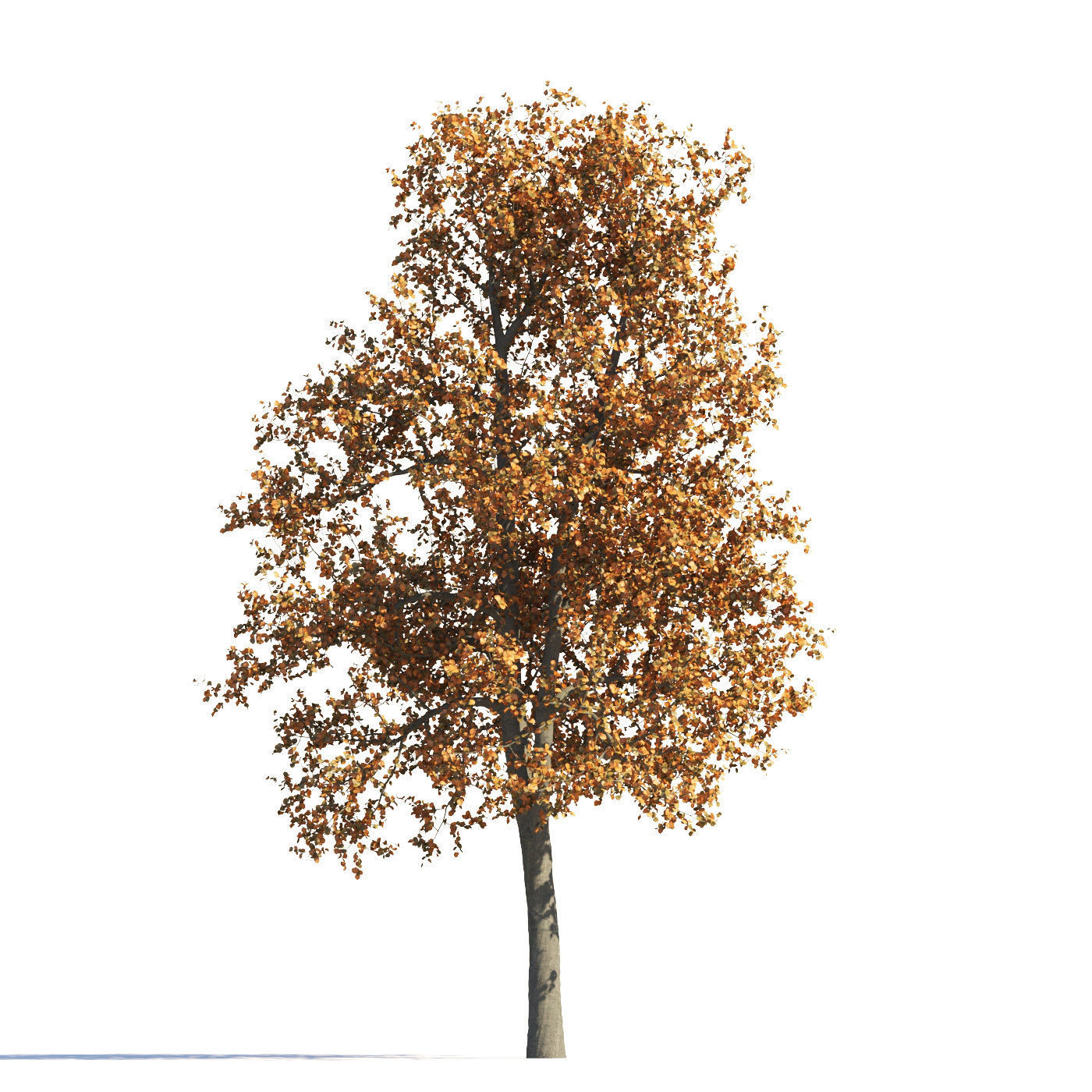 Archmodels vol 258 - collection of seasonal trees 3D model_27