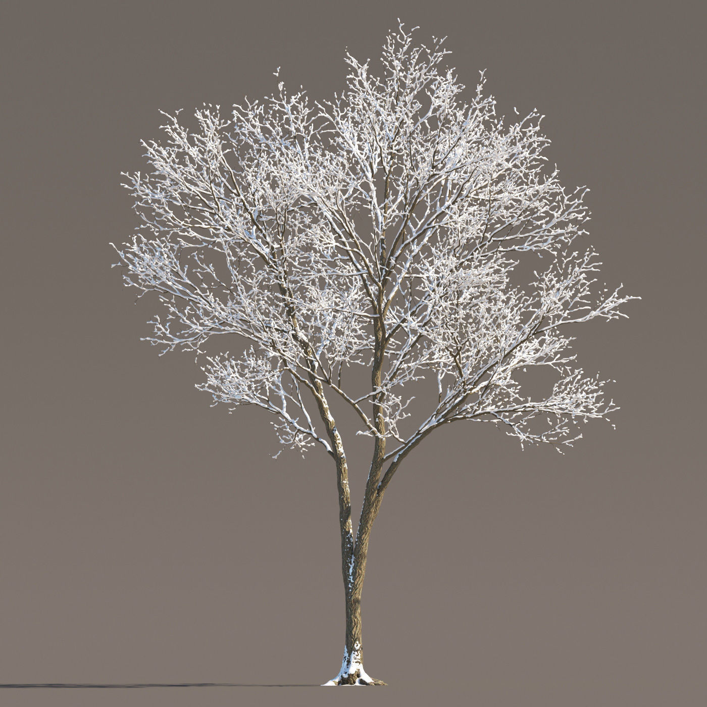 Archmodels vol 258 - collection of seasonal trees 3D model_73