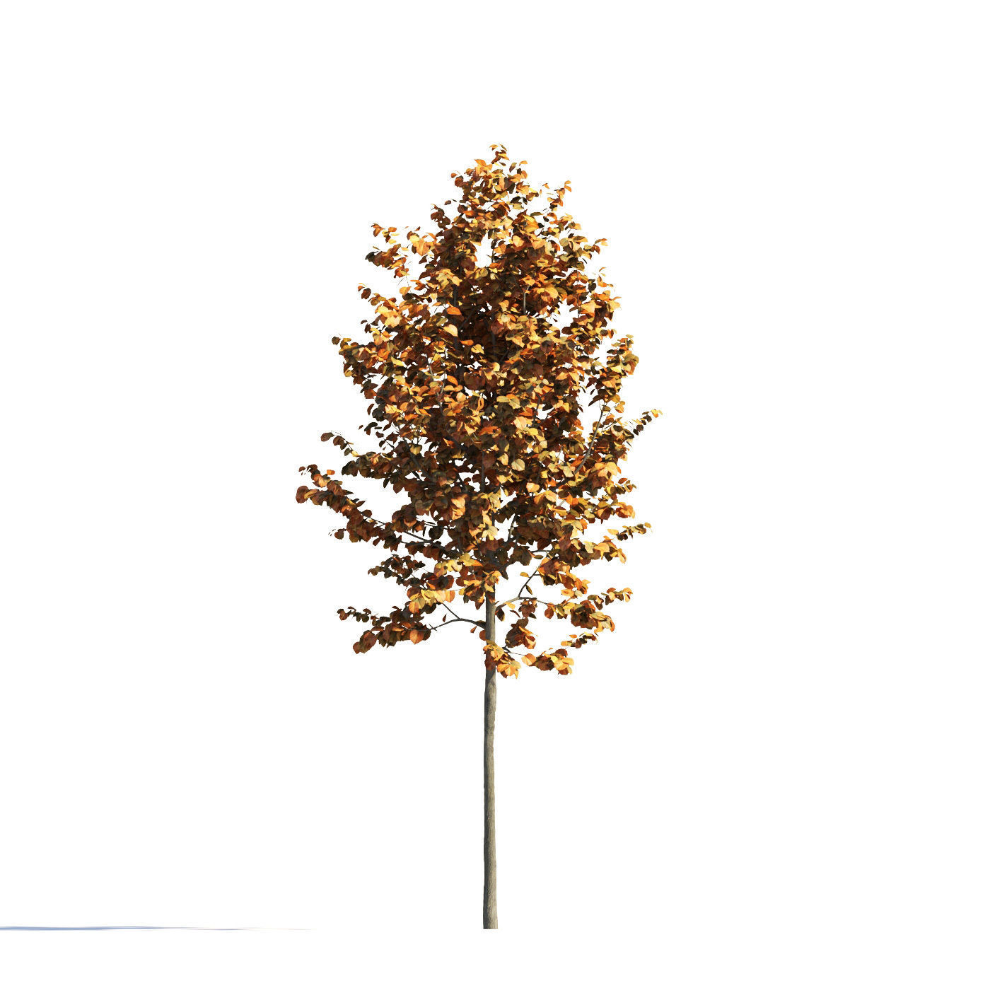 Archmodels vol 258 - collection of seasonal trees 3D model_24