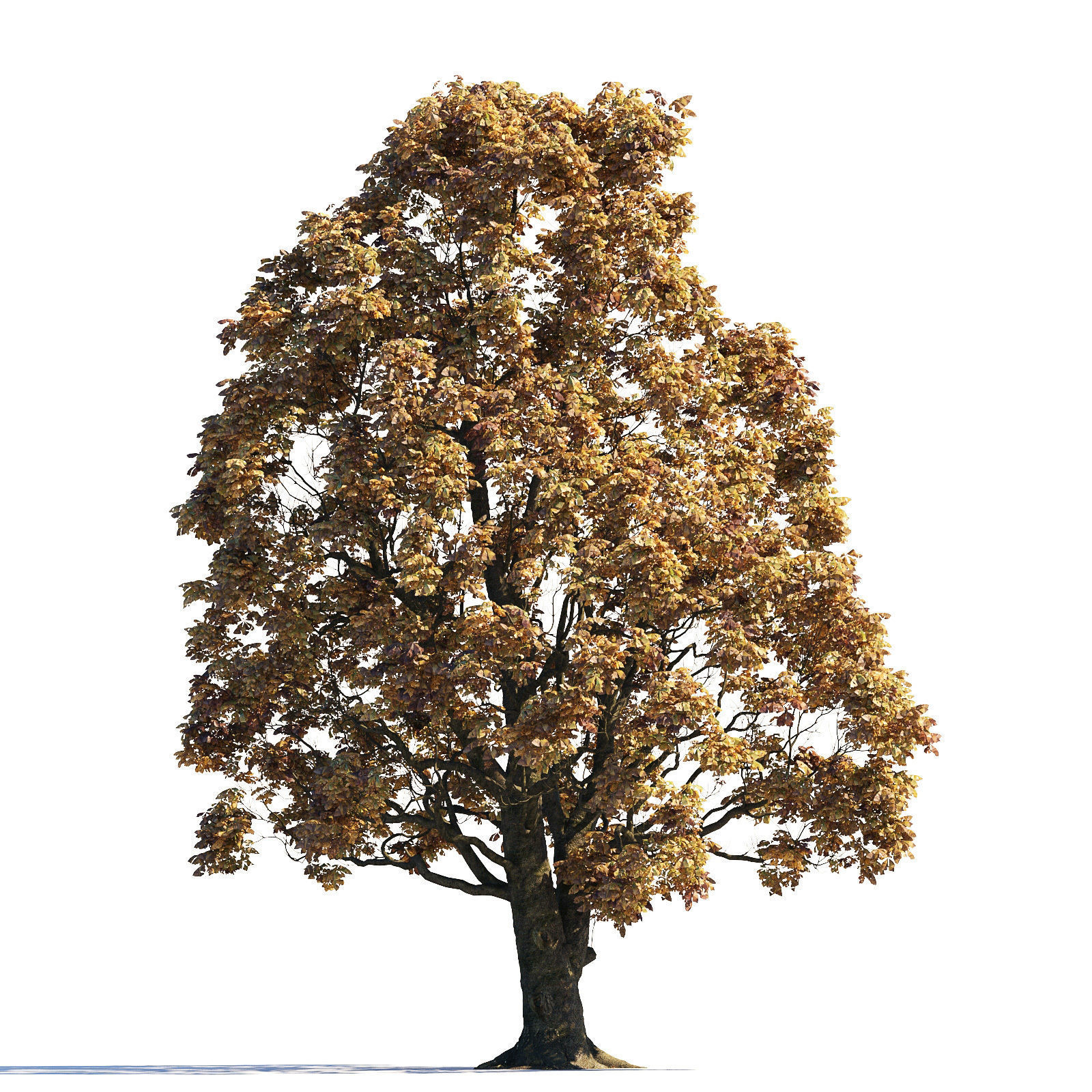 Archmodels vol 258 - collection of seasonal trees 3D model_20