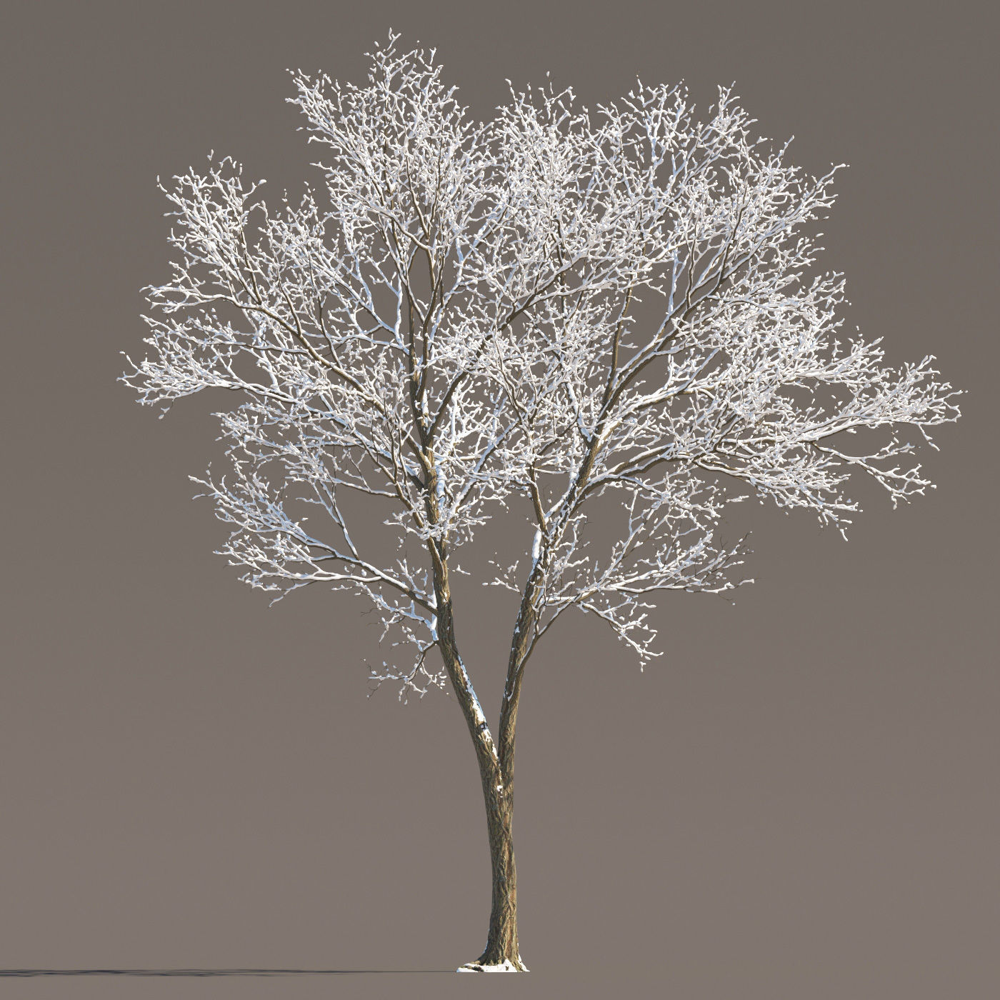 Archmodels vol 258 - collection of seasonal trees 3D model_75