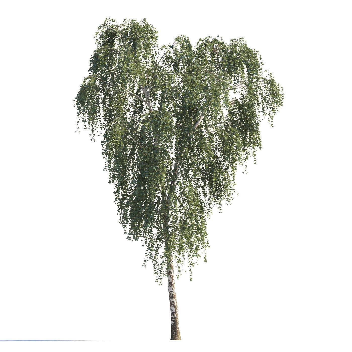 Archmodels vol 258 - collection of seasonal trees 3D model_88