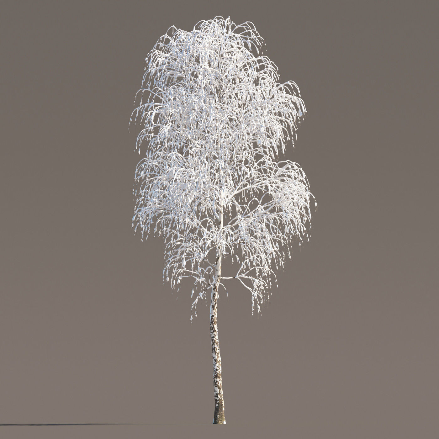 Archmodels vol 258 - collection of seasonal trees 3D model_46