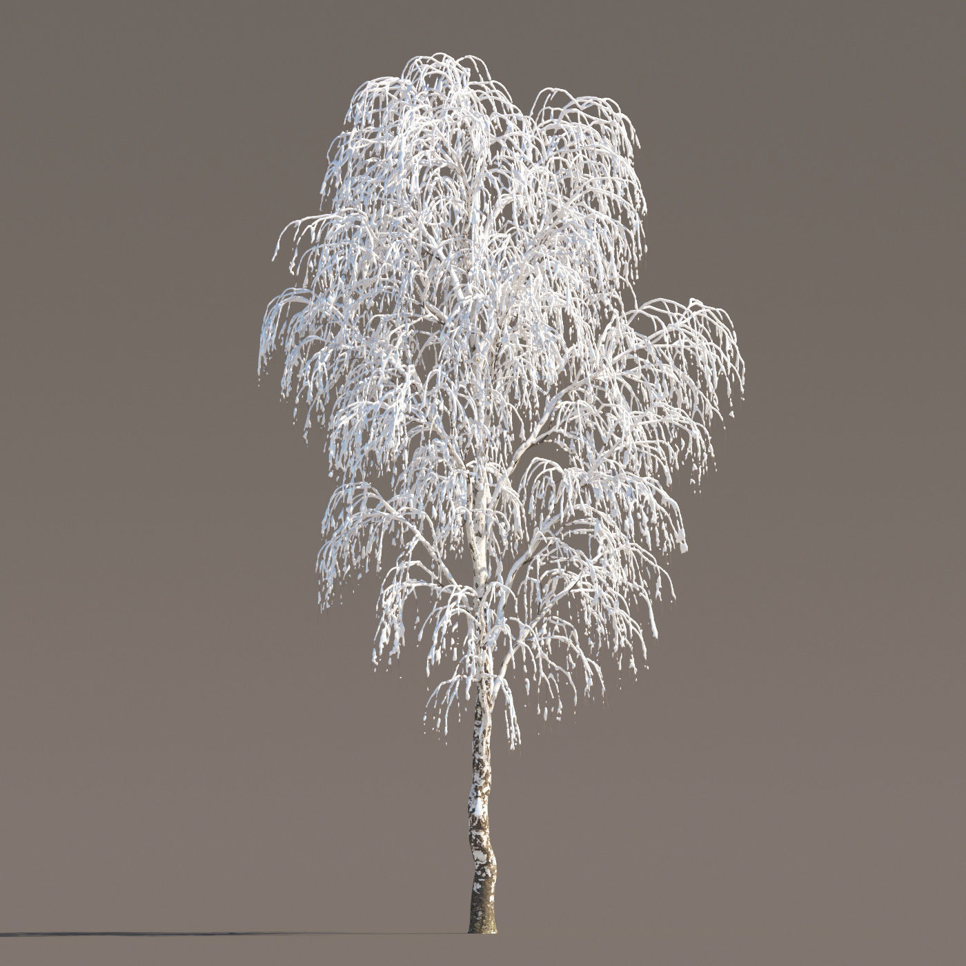 Archmodels vol 258 - collection of seasonal trees 3D model_47