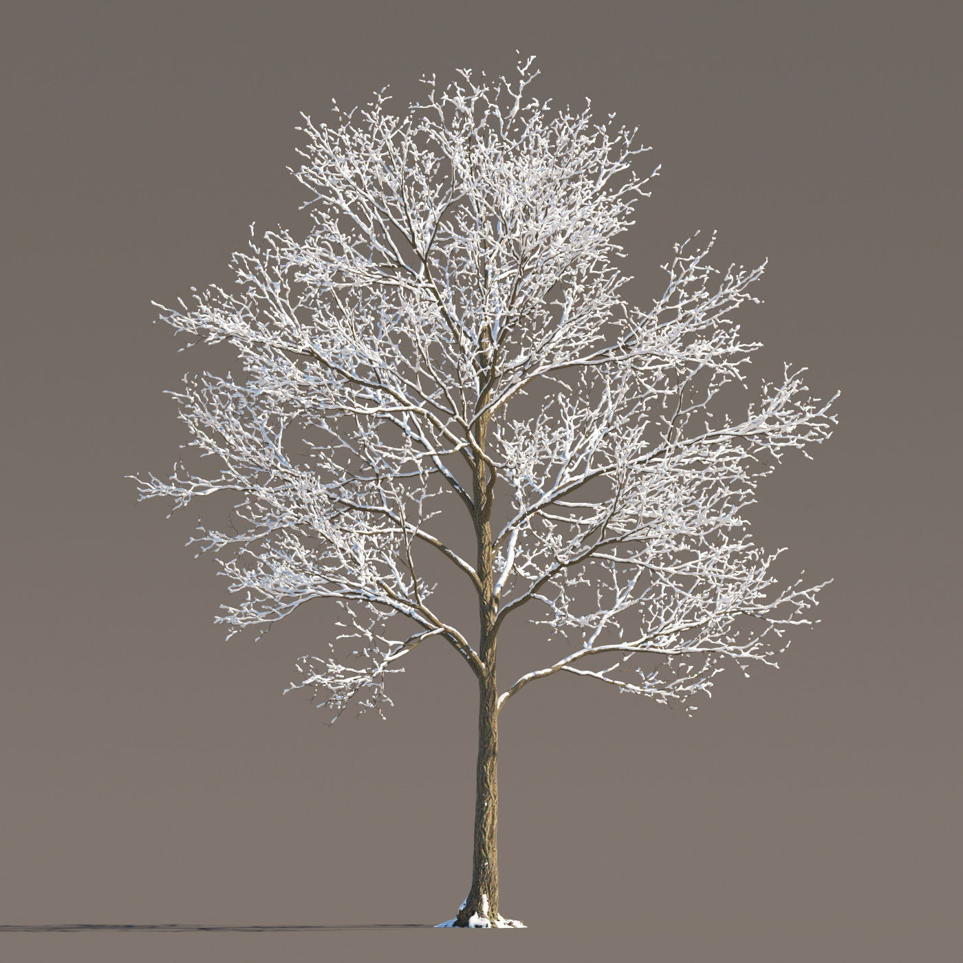 Archmodels vol 258 - collection of seasonal trees 3D model_76
