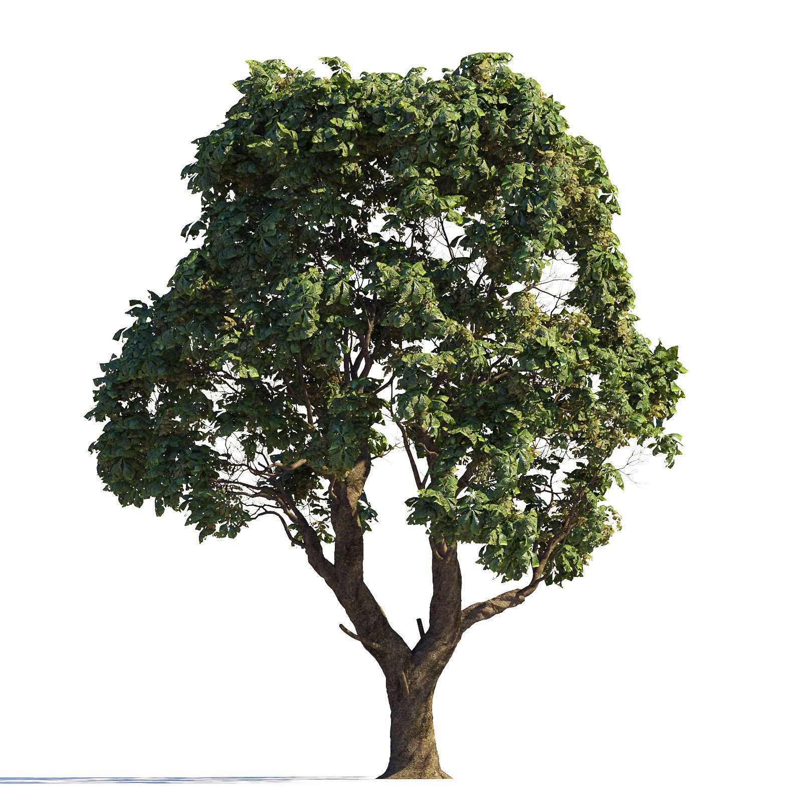 Archmodels vol 258 - collection of seasonal trees 3D model_93