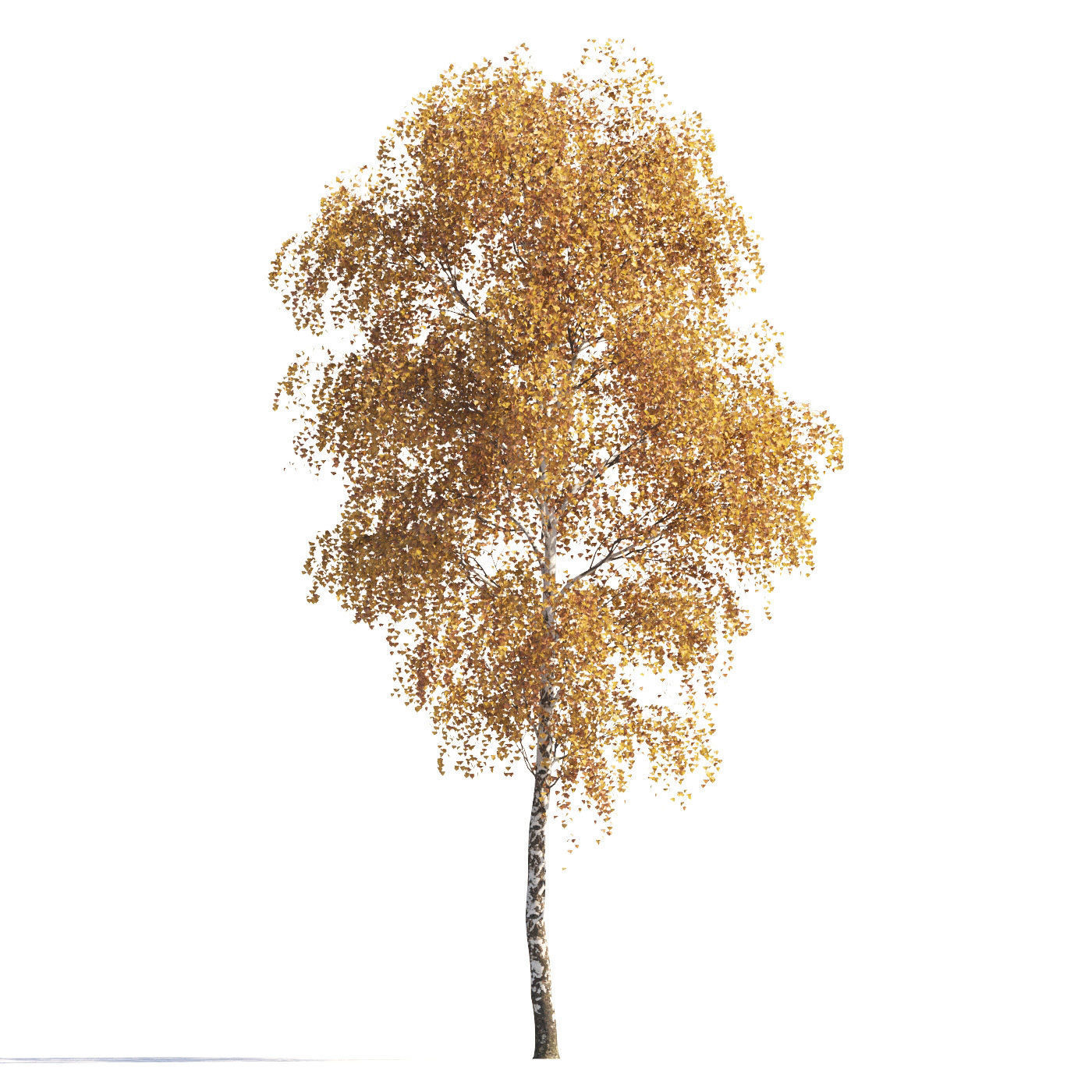 Archmodels vol 258 - collection of seasonal trees 3D model_11