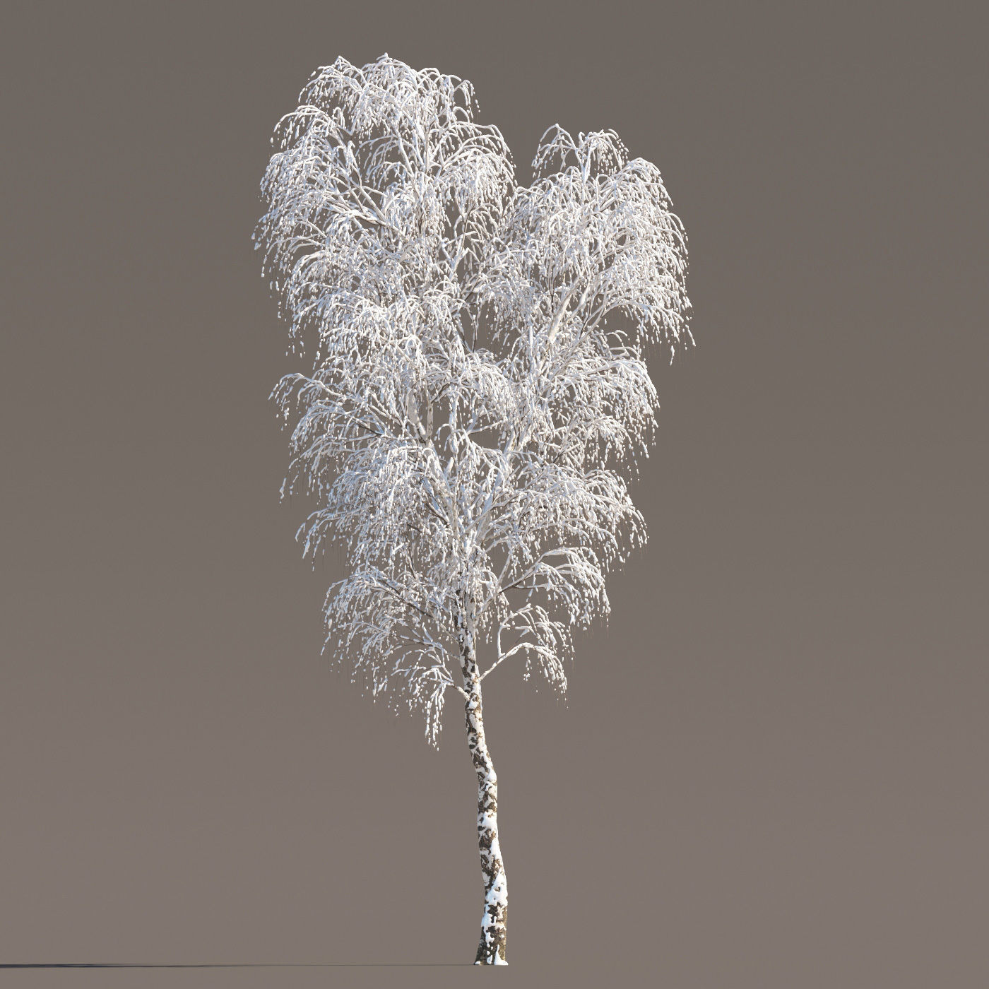 Archmodels vol 258 - collection of seasonal trees 3D model_43