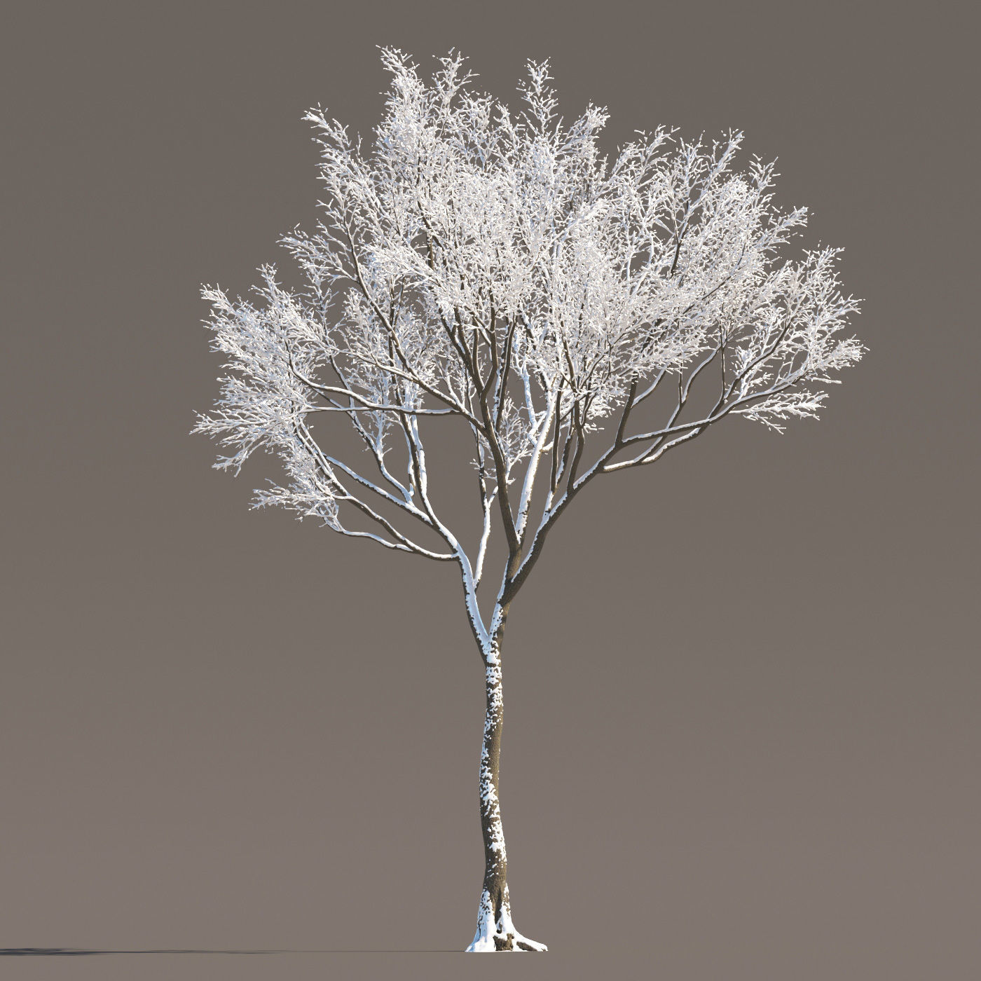 Archmodels vol 258 - collection of seasonal trees 3D model_79