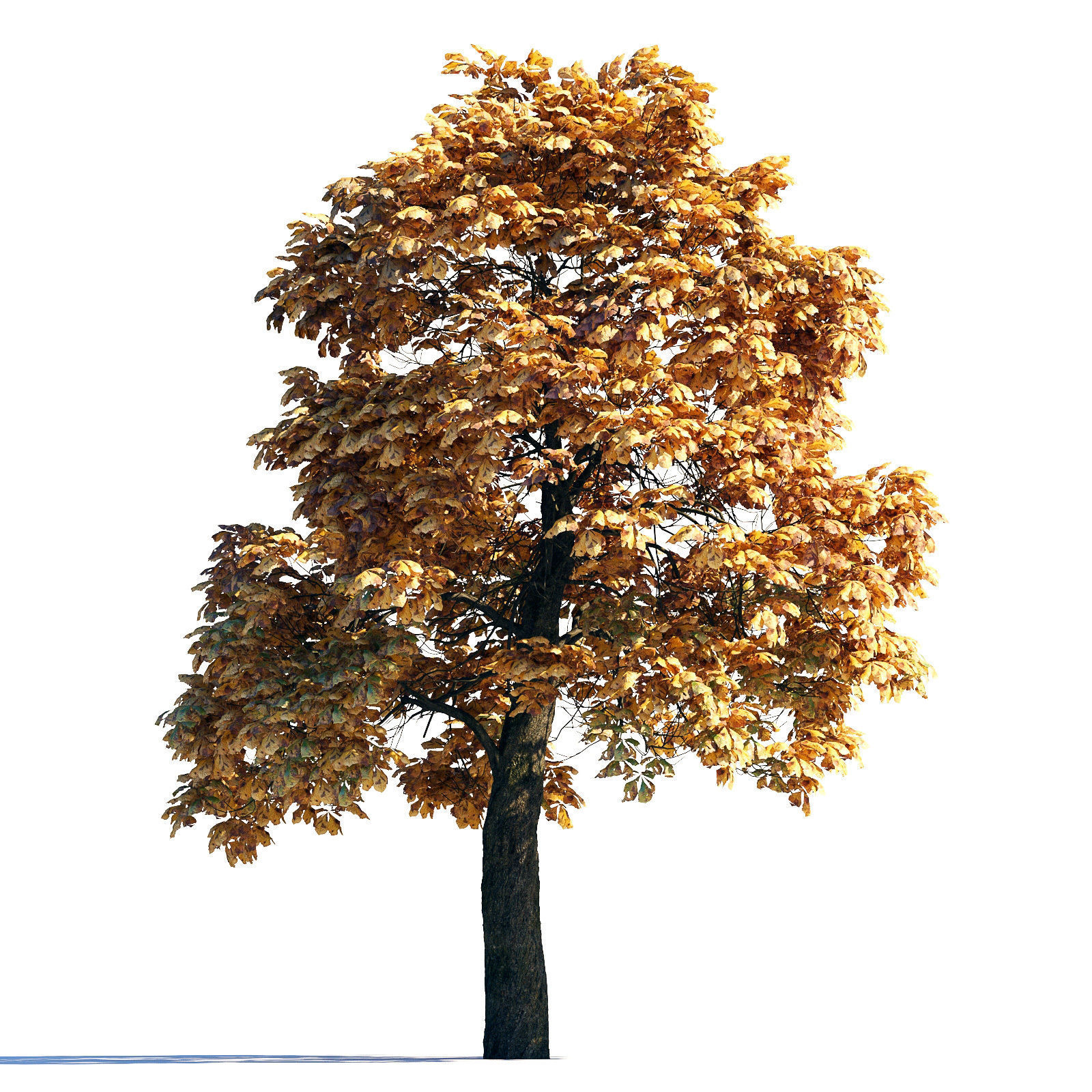 Archmodels vol 258 - collection of seasonal trees 3D model_14
