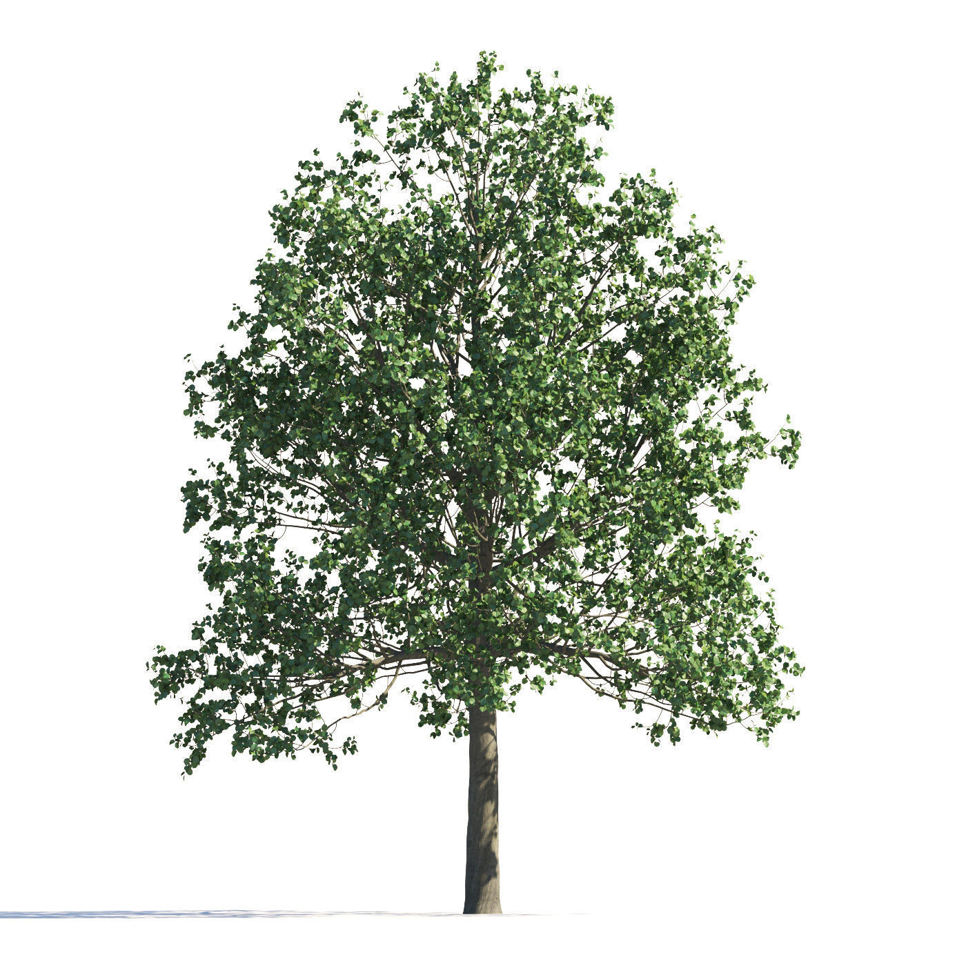 Archmodels vol 258 - collection of seasonal trees 3D model_107