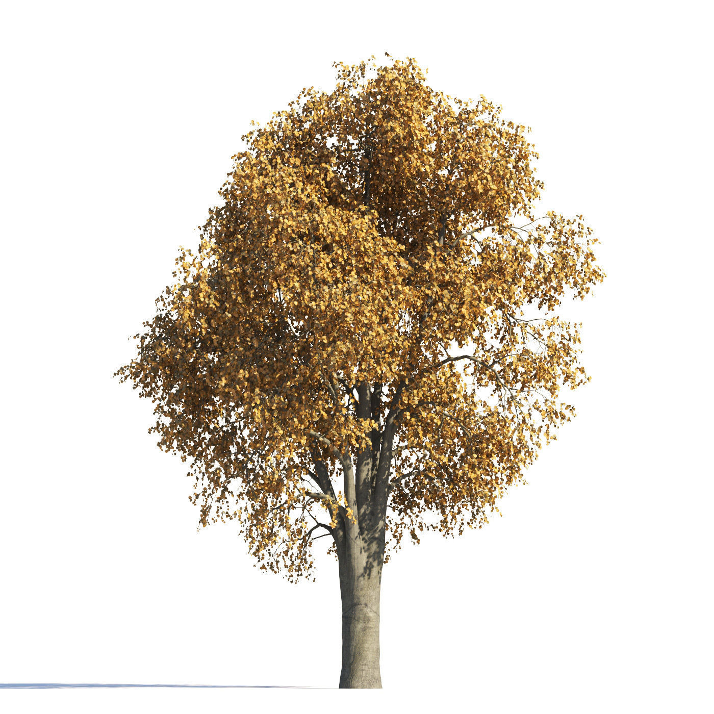 Archmodels vol 258 - collection of seasonal trees 3D model_29