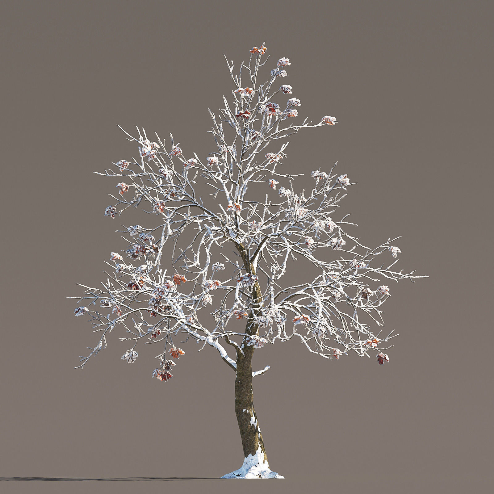 Archmodels vol 258 - collection of seasonal trees 3D model_52