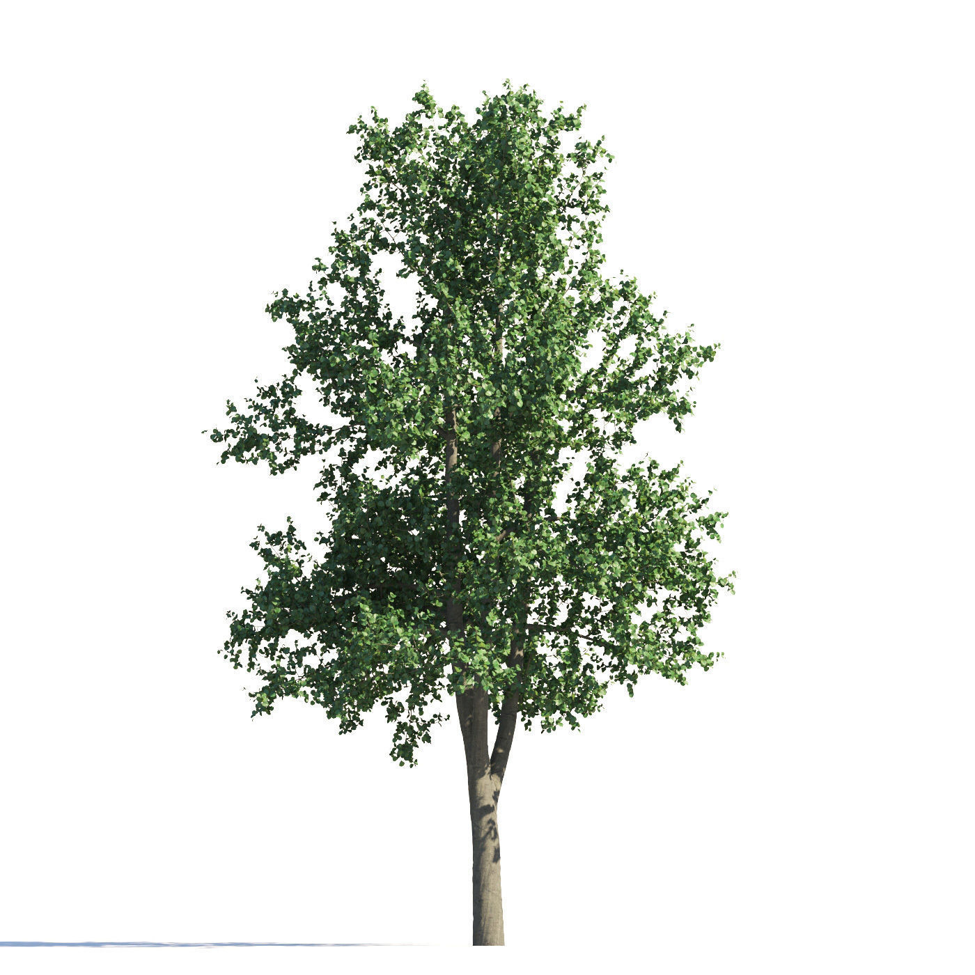 Archmodels vol 258 - collection of seasonal trees 3D model_108