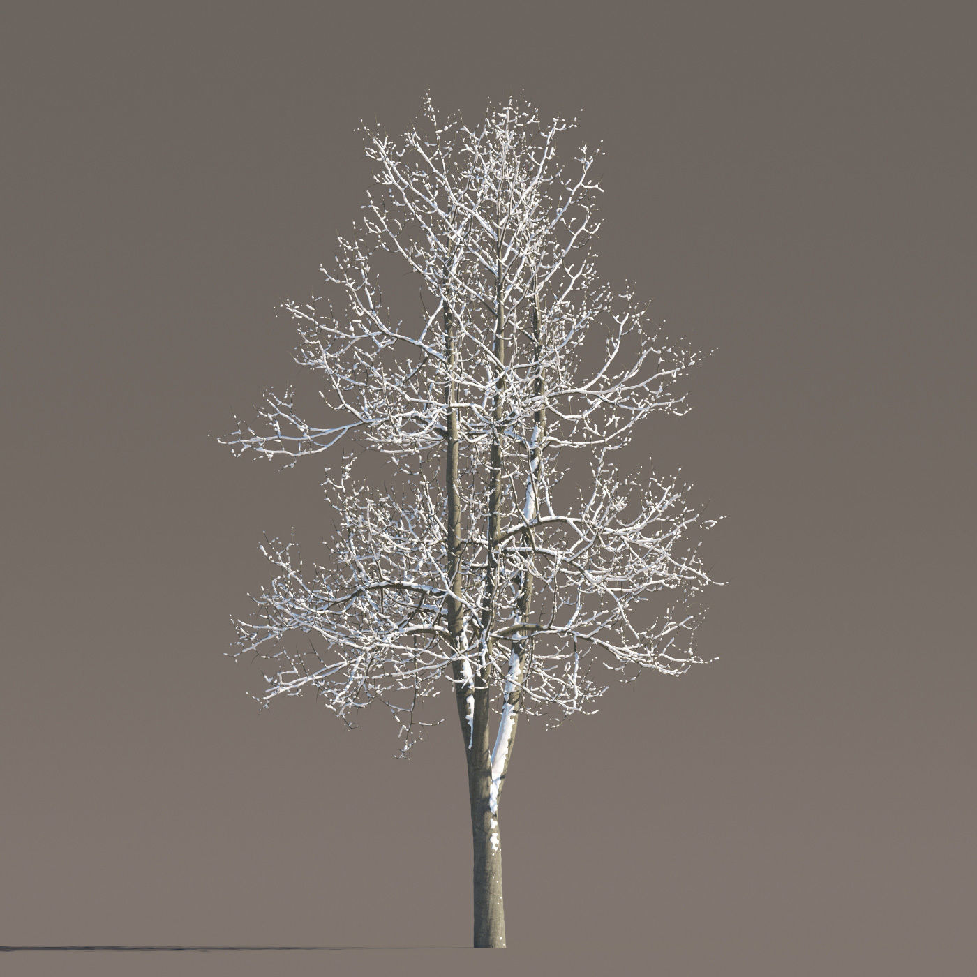Archmodels vol 258 - collection of seasonal trees 3D model_68