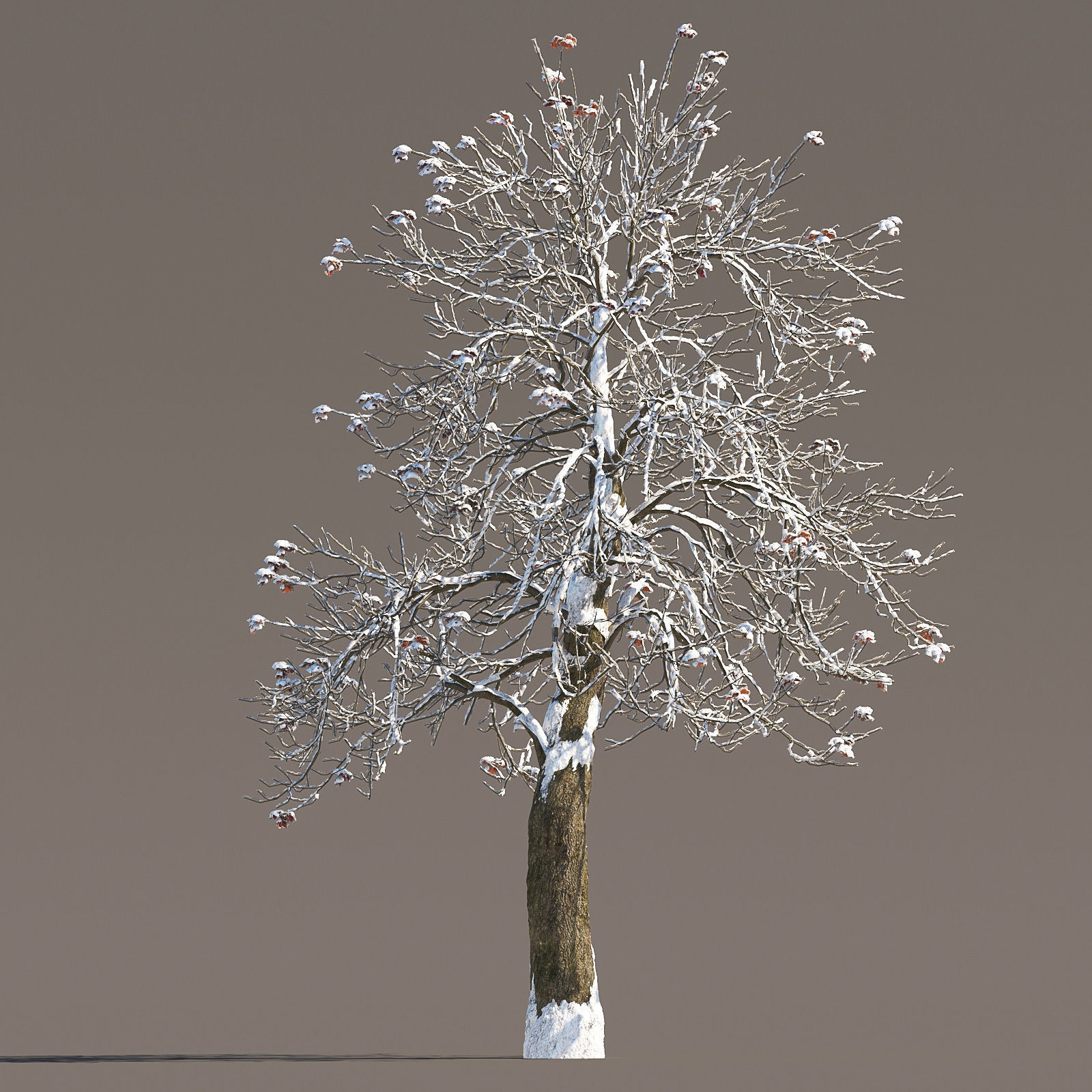 Archmodels vol 258 - collection of seasonal trees 3D model_54