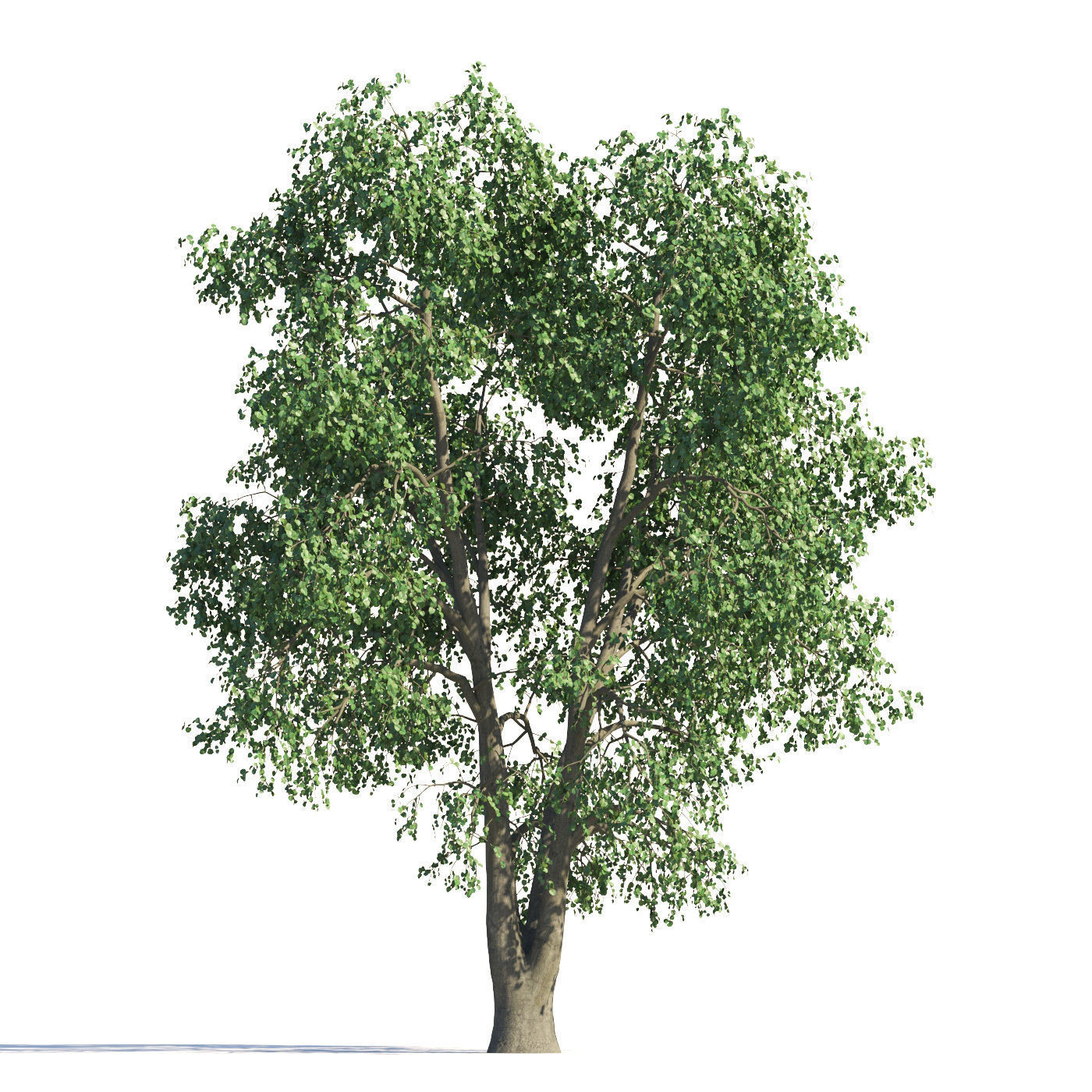 Archmodels vol 258 - collection of seasonal trees 3D model_110