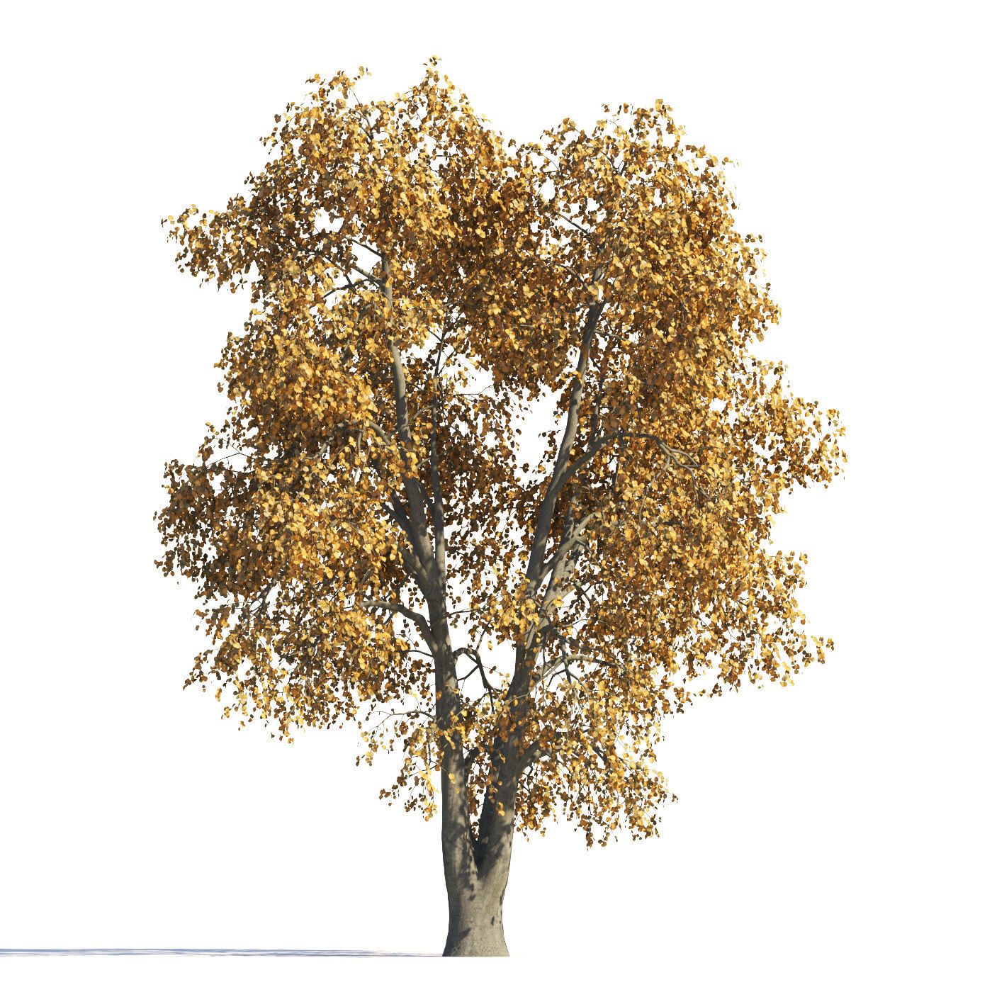 Archmodels vol 258 - collection of seasonal trees 3D model_30