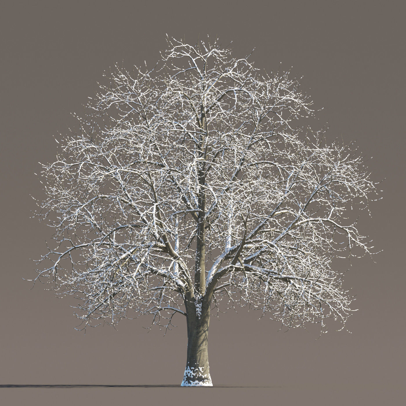 Archmodels vol 258 - collection of seasonal trees 3D model_71