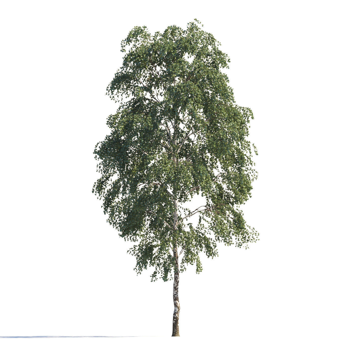 Archmodels vol 258 - collection of seasonal trees 3D model_89