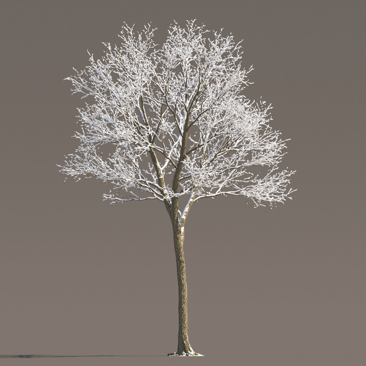 Archmodels vol 258 - collection of seasonal trees 3D model_74