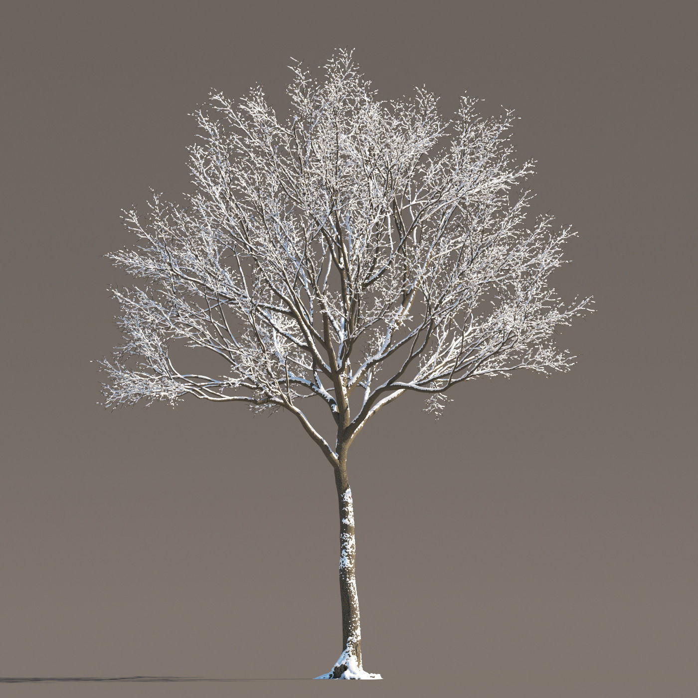 Archmodels vol 258 - collection of seasonal trees 3D model_77