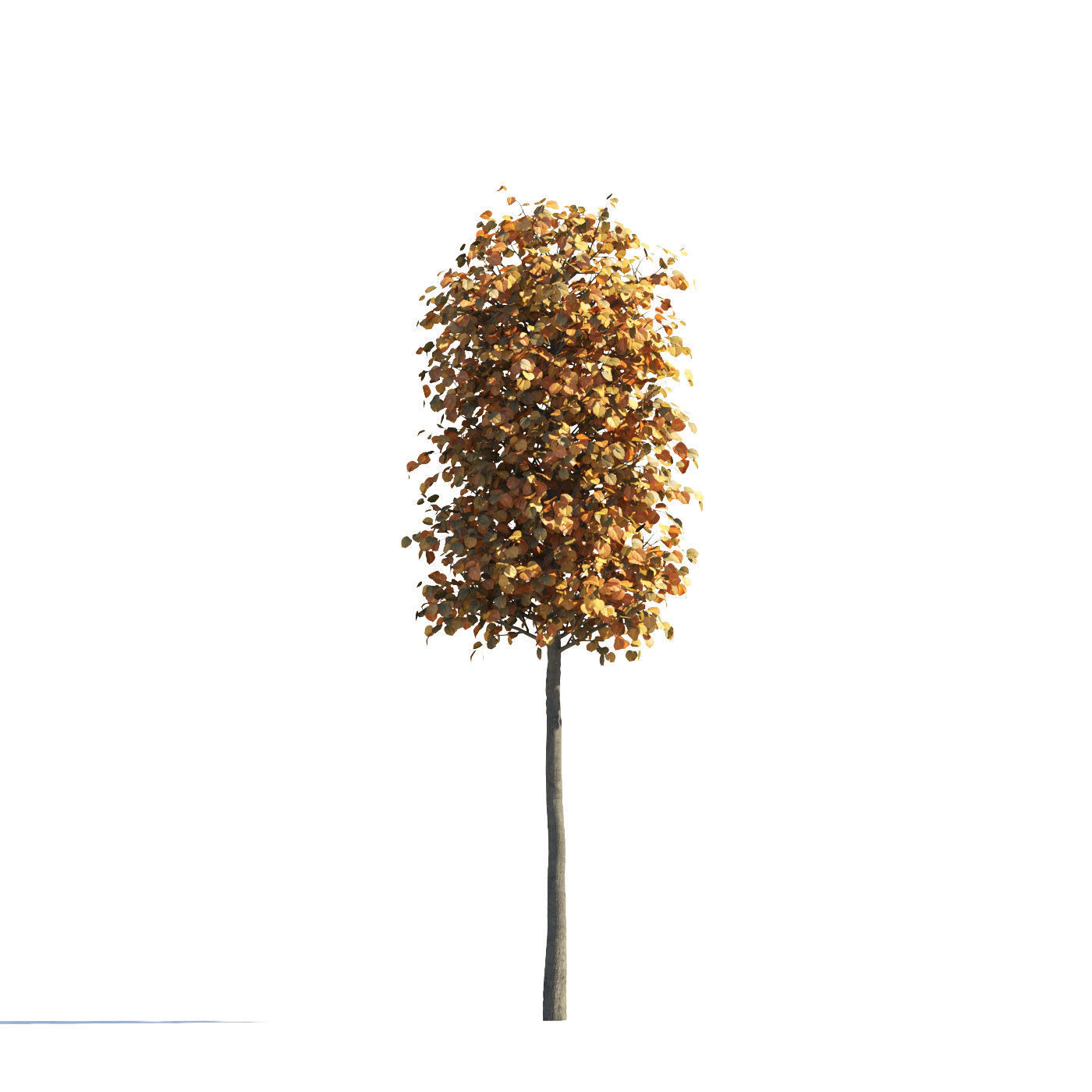 Archmodels vol 258 - collection of seasonal trees 3D model_23