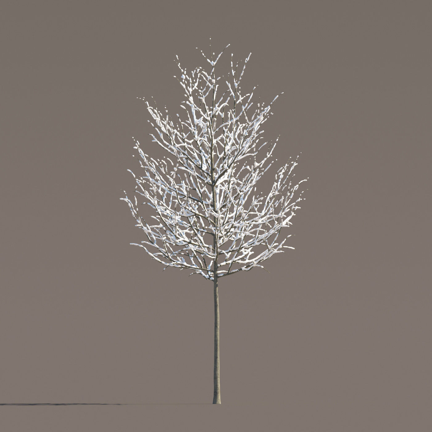 Archmodels vol 258 - collection of seasonal trees 3D model_65