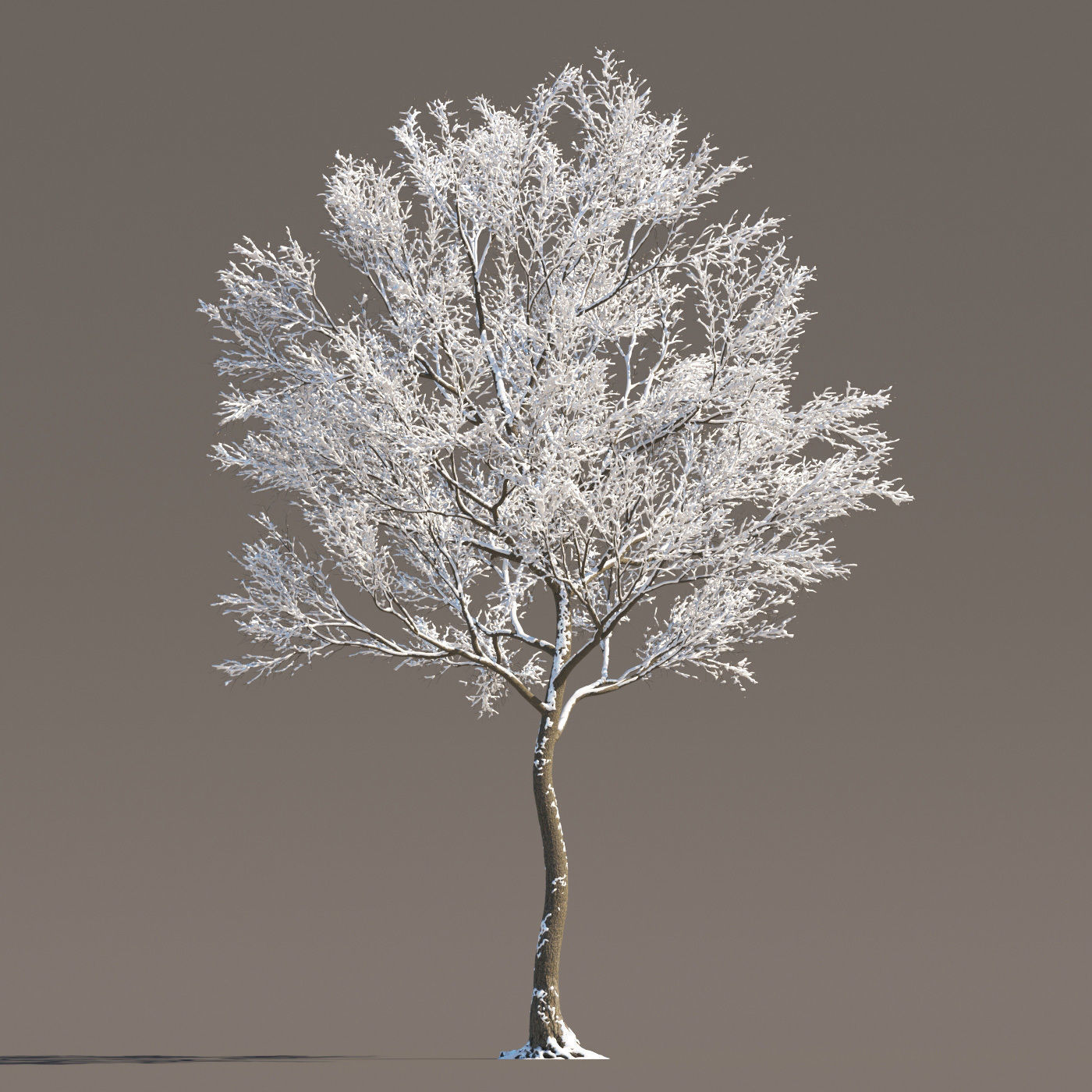 Archmodels vol 258 - collection of seasonal trees 3D model_80