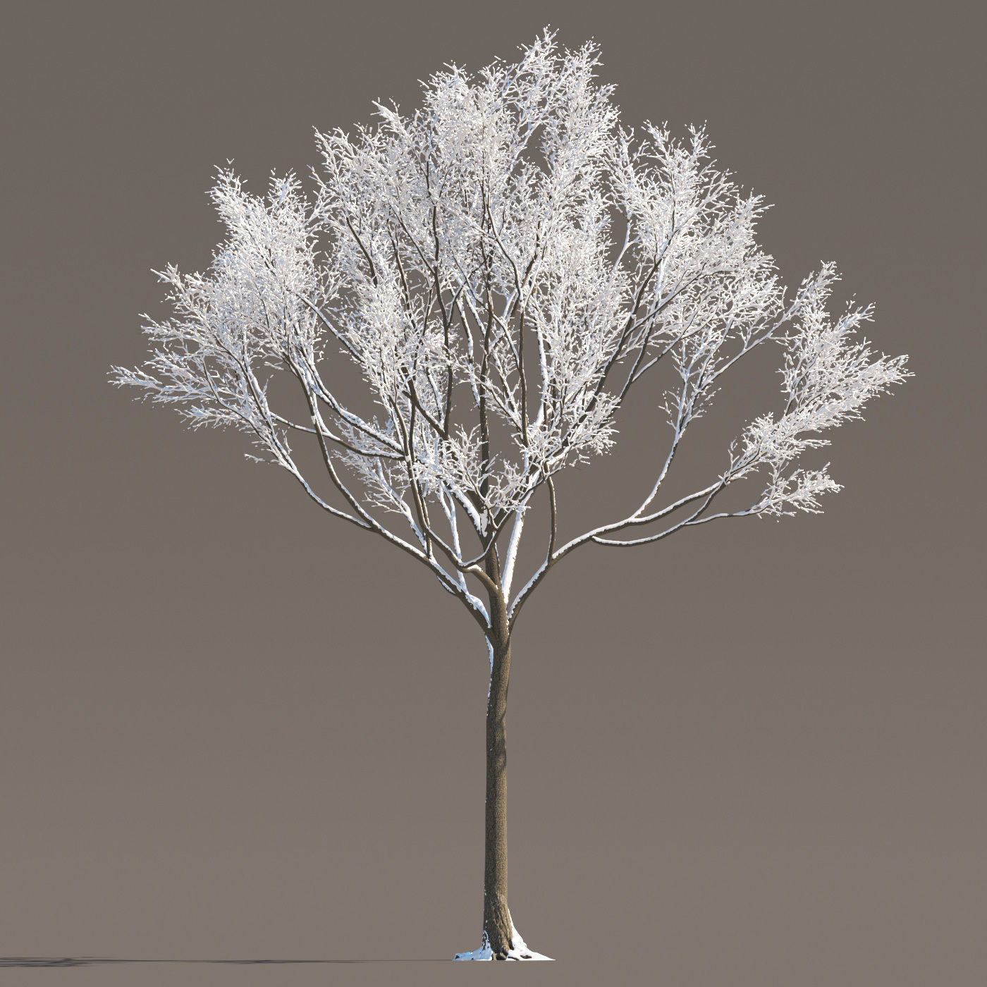 Archmodels vol 258 - collection of seasonal trees 3D model_78
