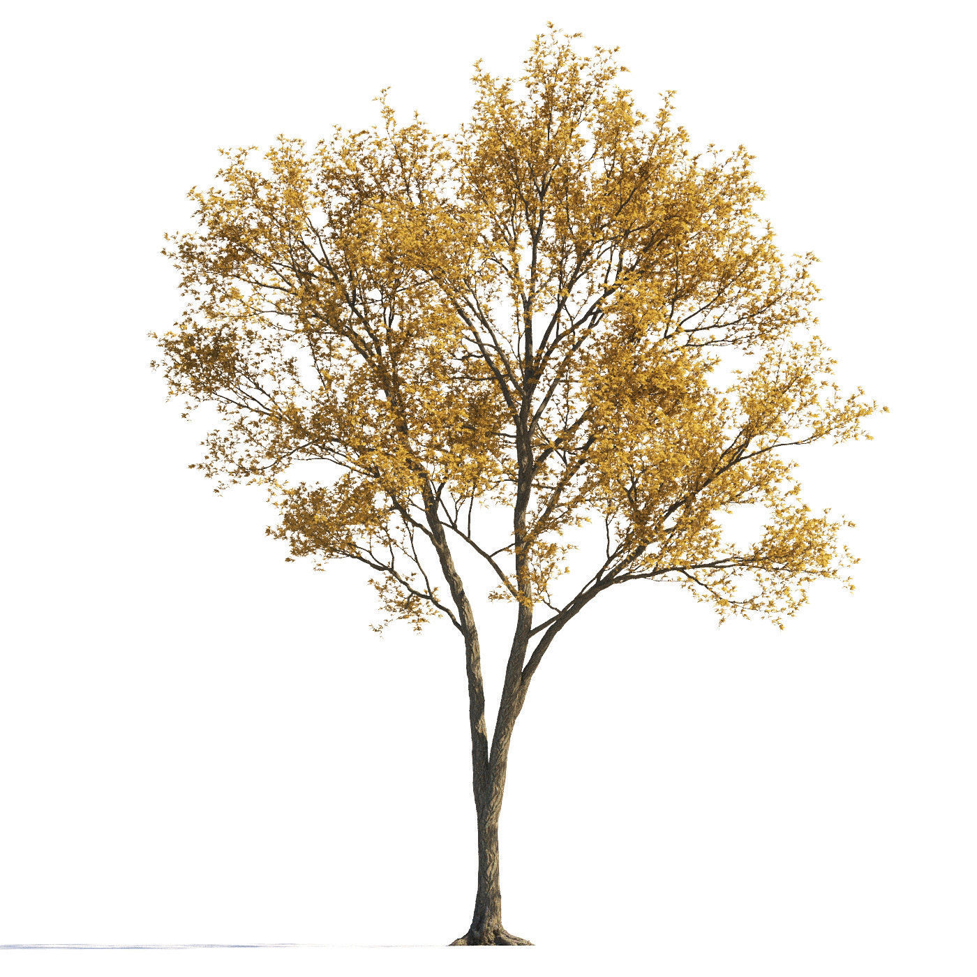 Archmodels vol 258 - collection of seasonal trees 3D model_33