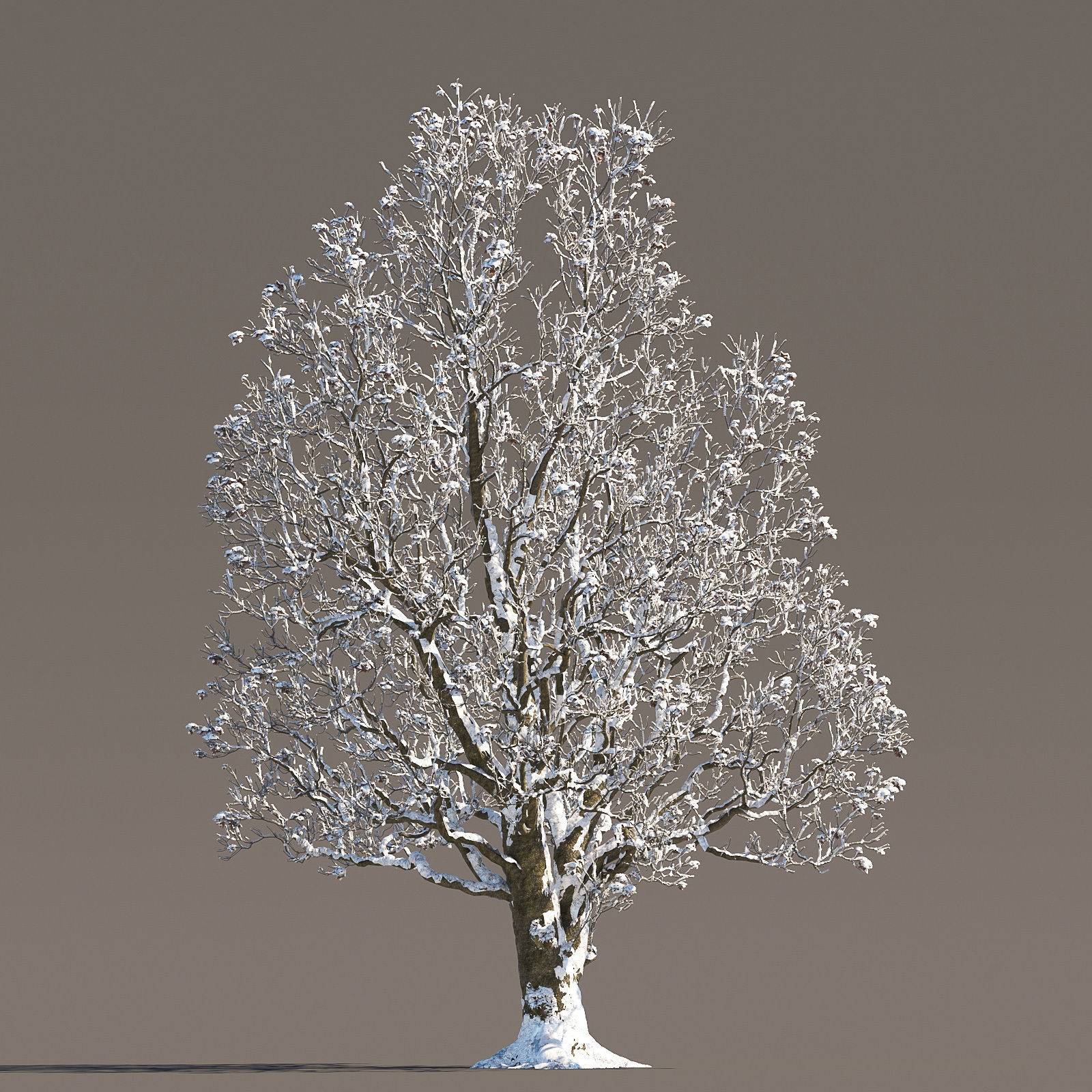 Archmodels vol 258 - collection of seasonal trees 3D model_60