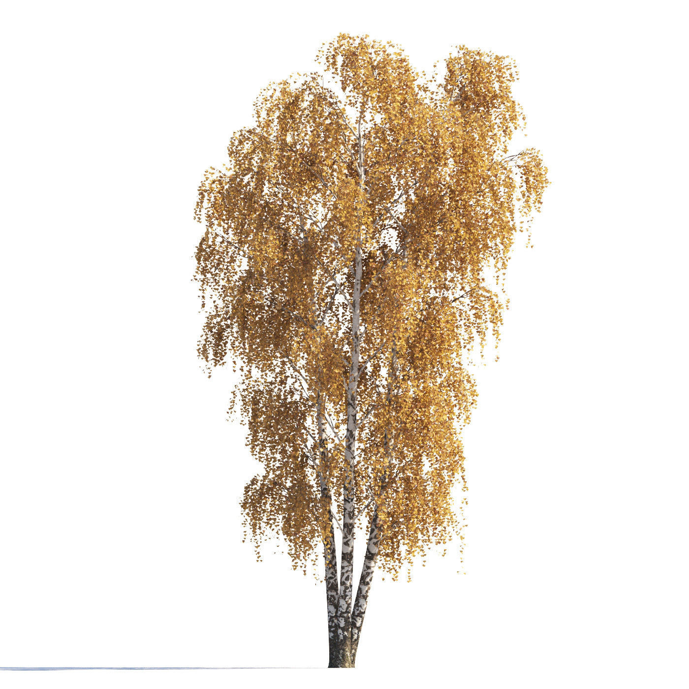 Archmodels vol 258 - collection of seasonal trees 3D model_2