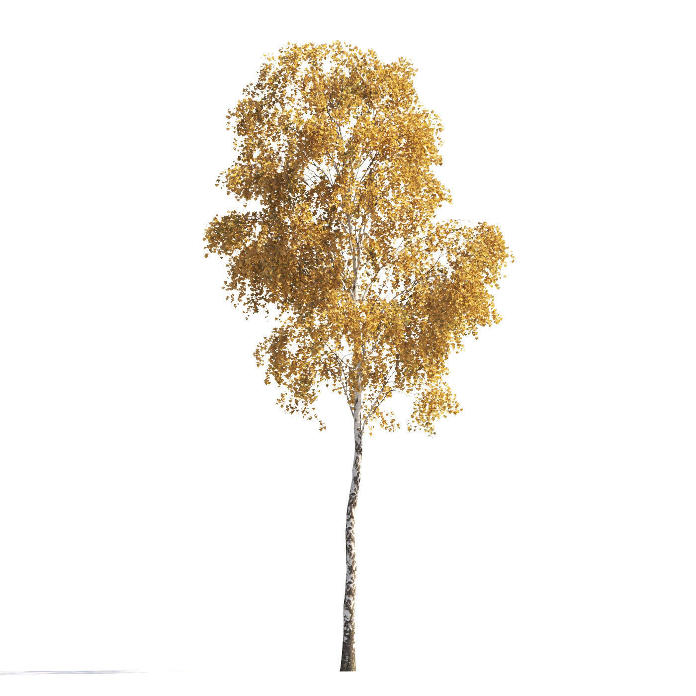 Archmodels vol 258 - collection of seasonal trees 3D model_10