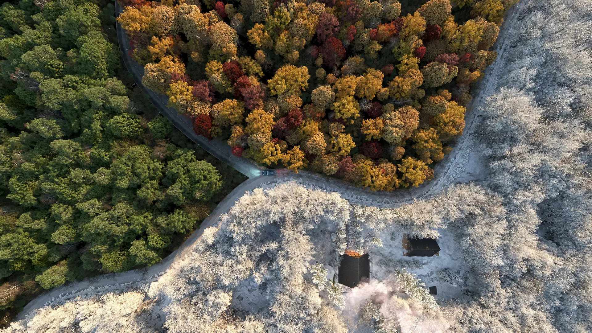 Archmodels vol 258 - collection of seasonal trees 3D model_0