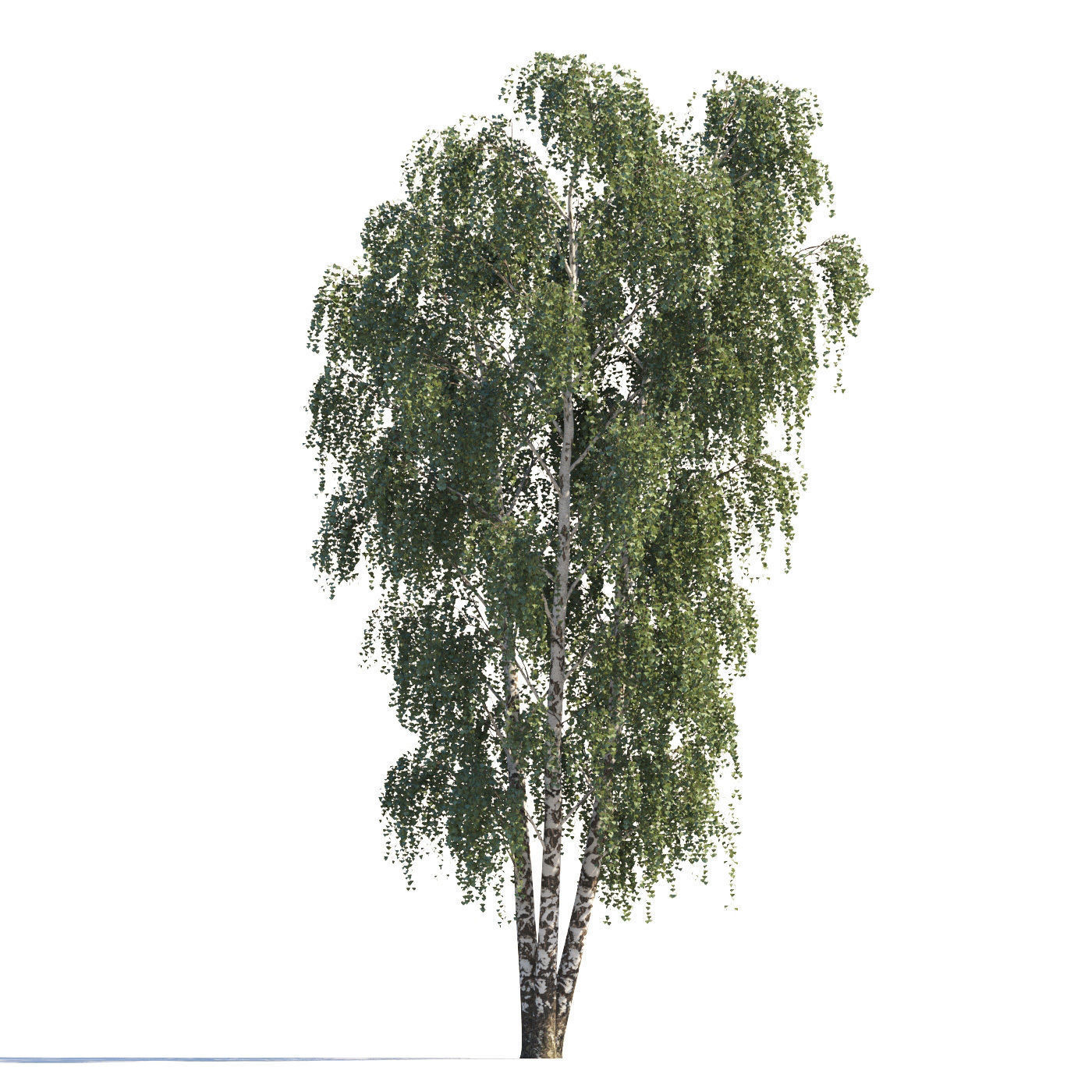Archmodels vol 258 - collection of seasonal trees 3D model_82